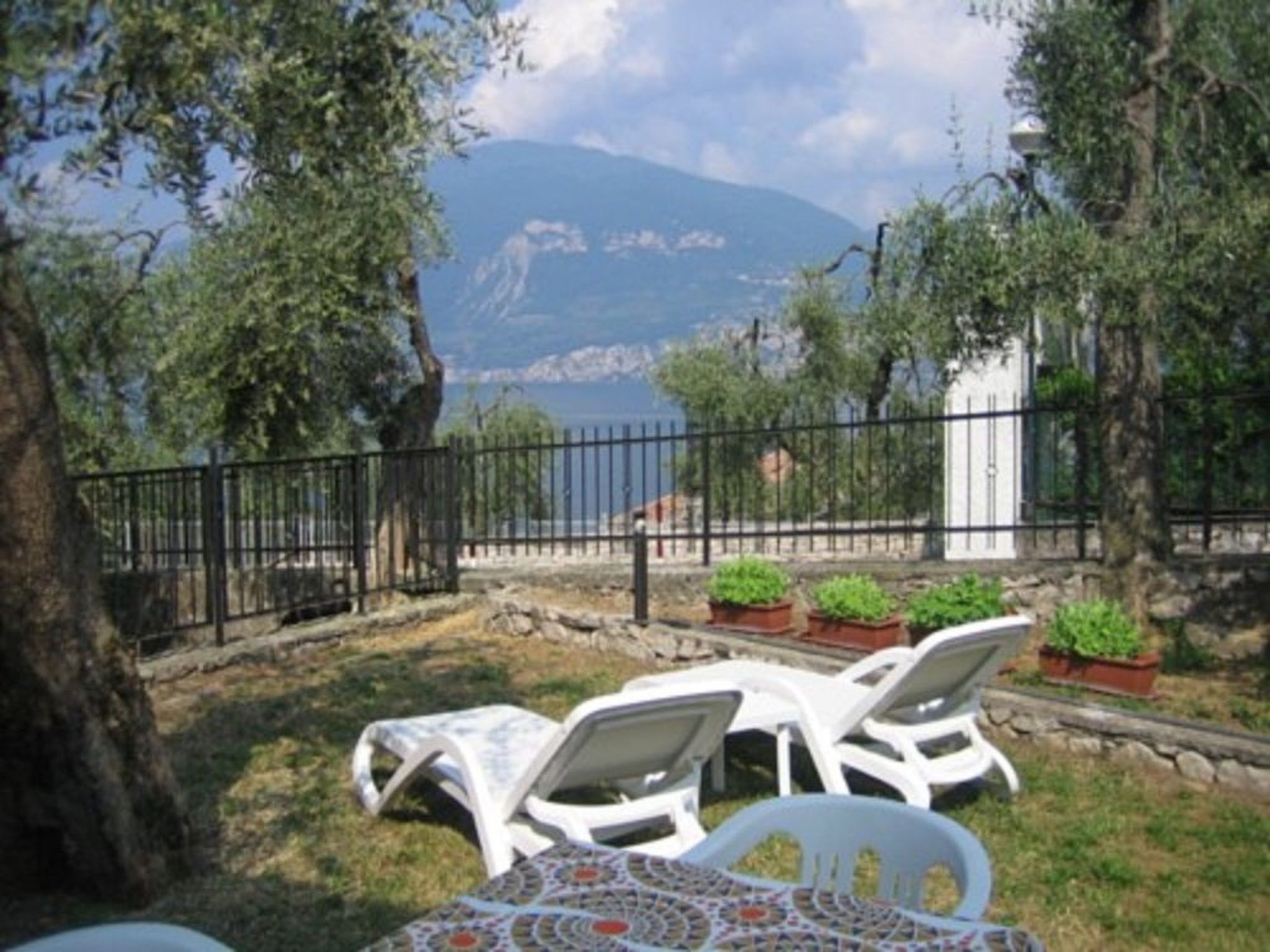 Photo of Margherita GARDEN