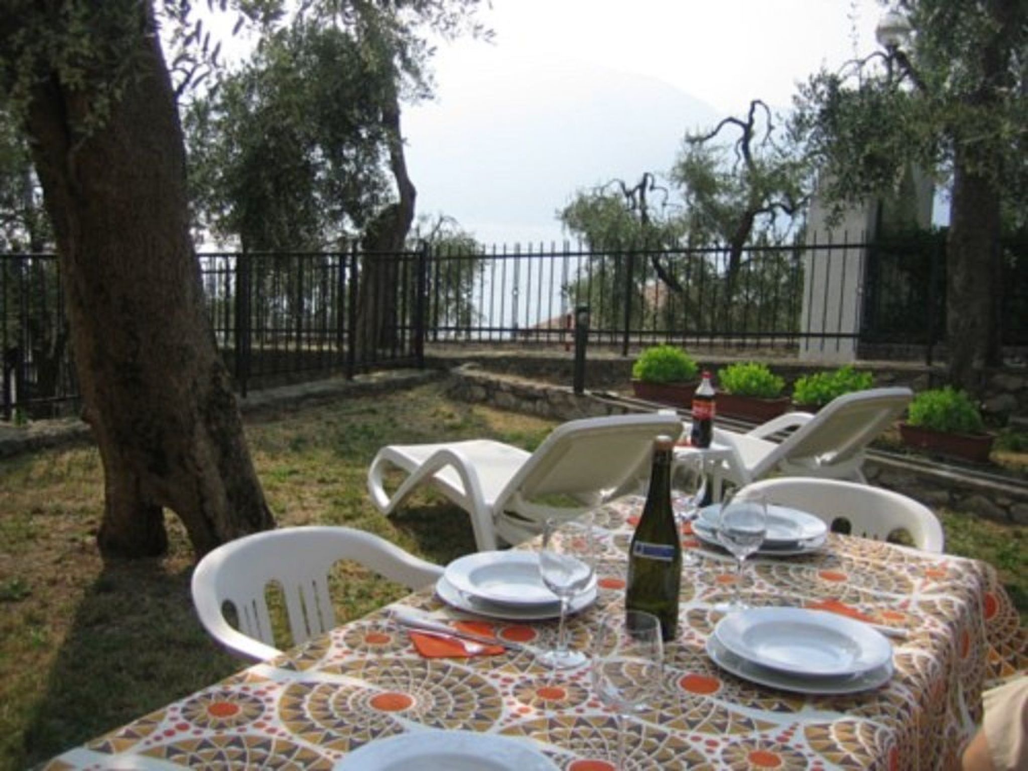 Photo of Margherita GARDEN