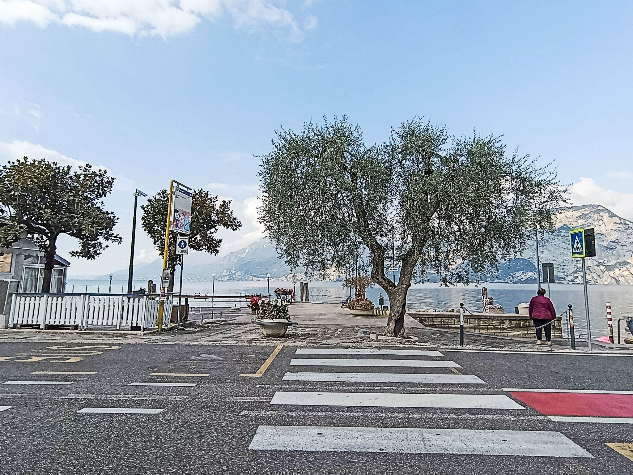 Photo of Margherita GARDEN