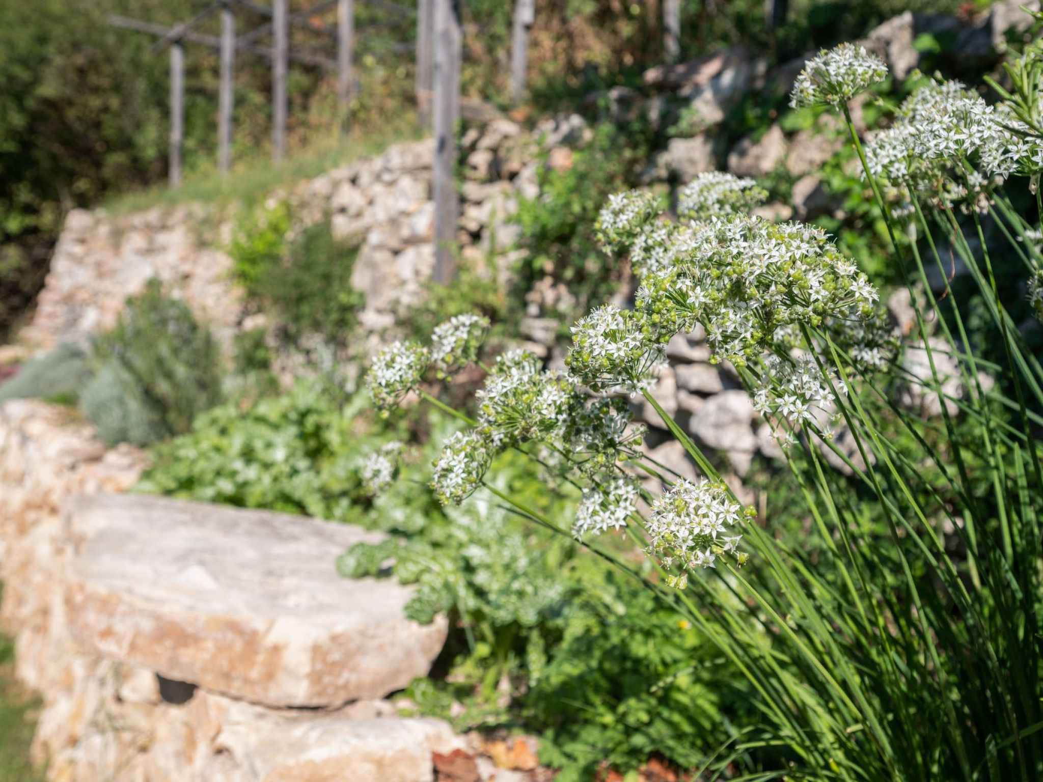 Alleinstehende Villa mit Pool und Traumaussicht-Inside