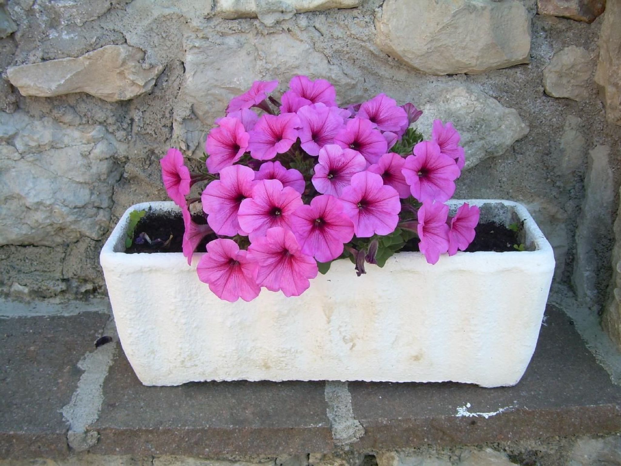 Mit Blick auf das Wasser-Binnen