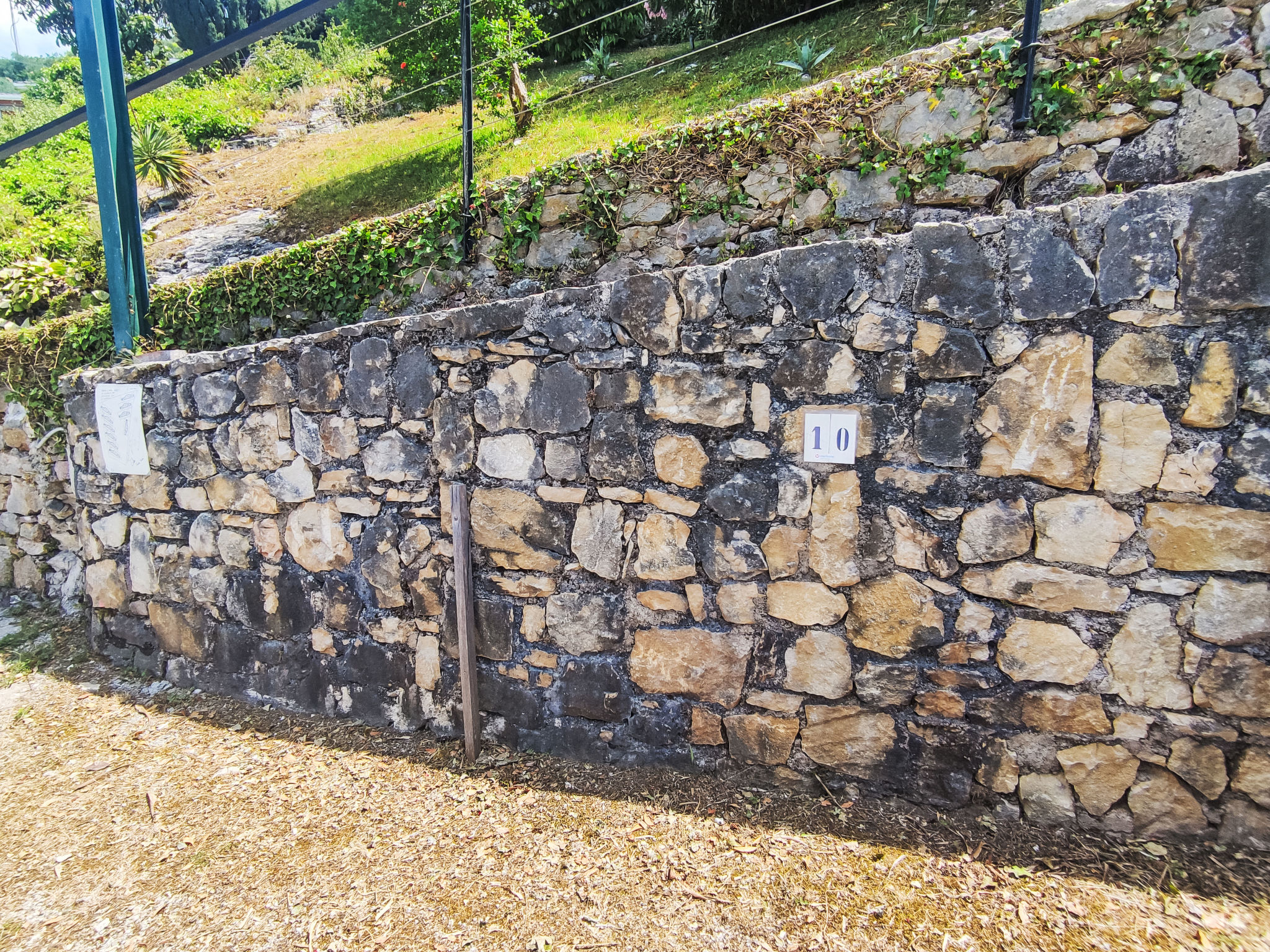 Tognella-Outside