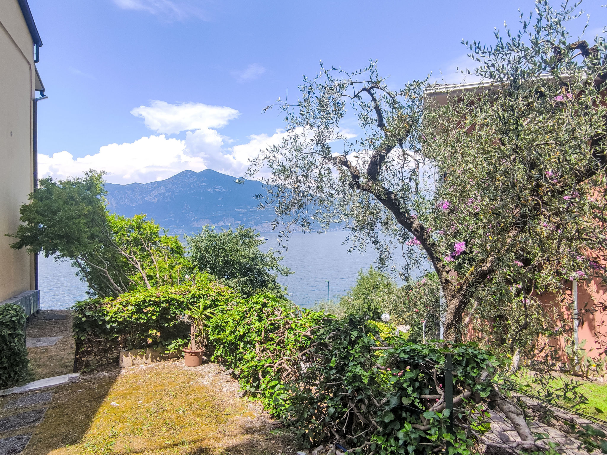 Tognella-Outside