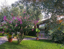 Appartement Le Rasole