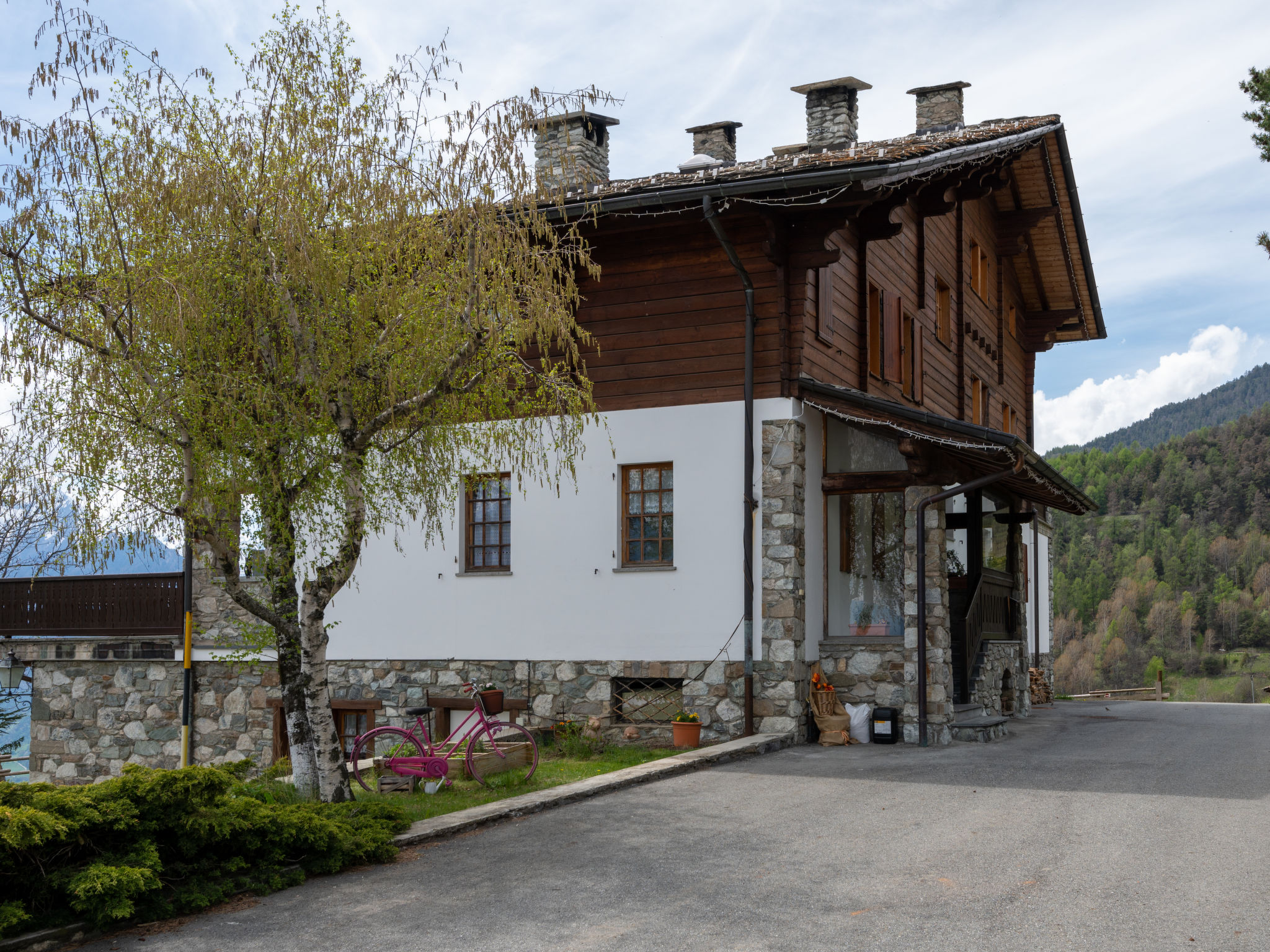 Chalet Remondet - Buiten