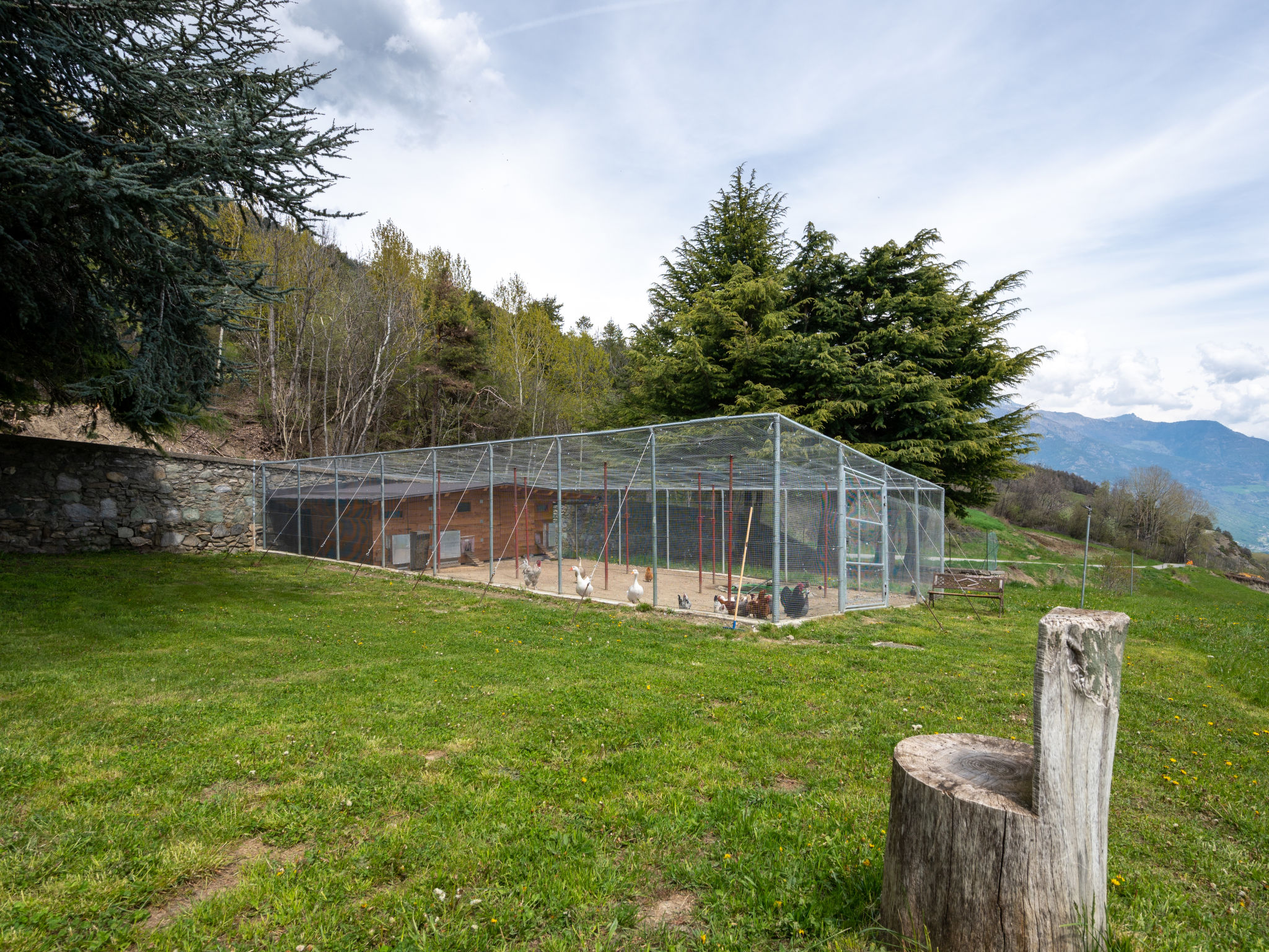 Chalet Remondet - Binnen