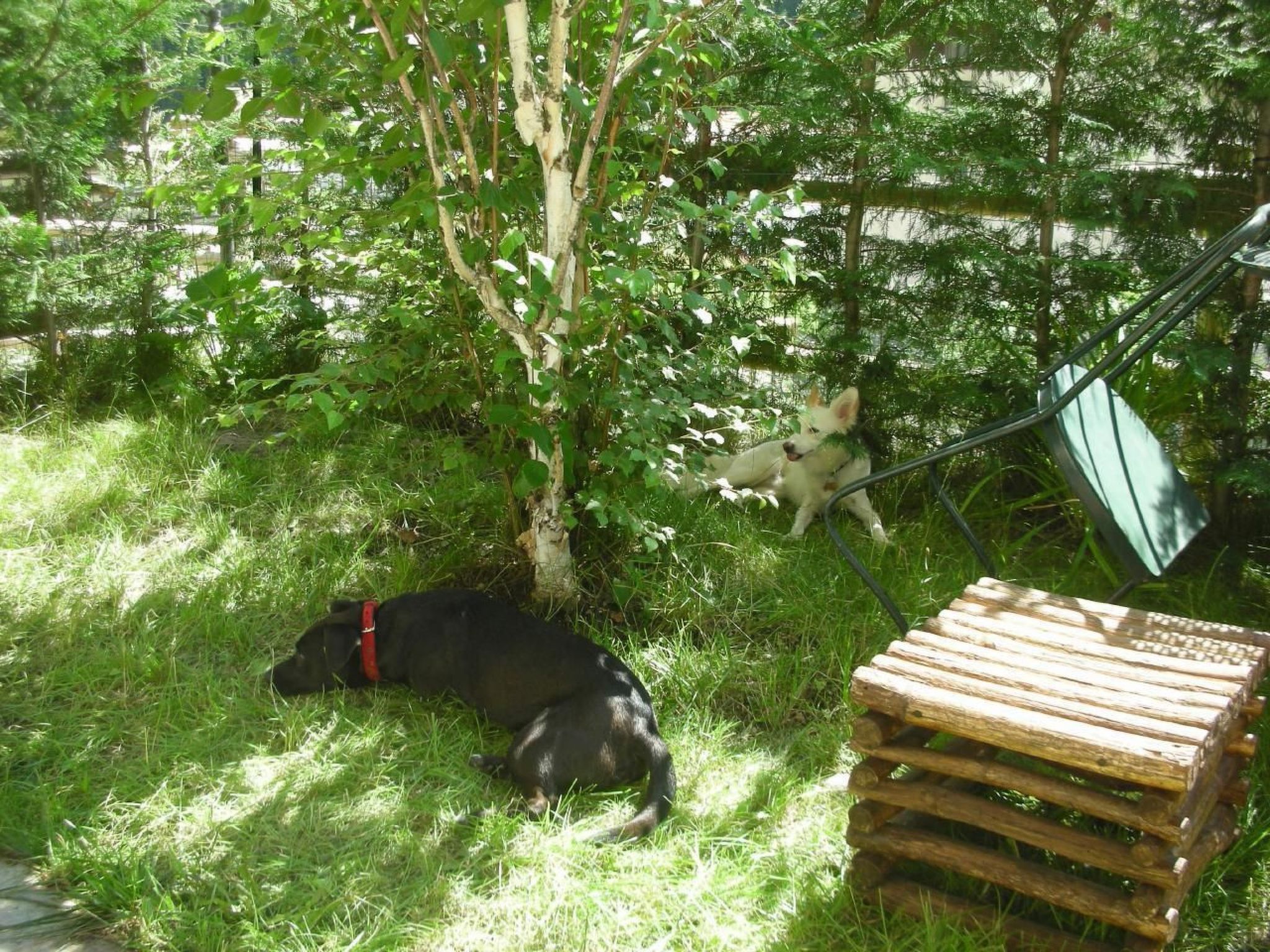 Mit Bergblick-Binnen