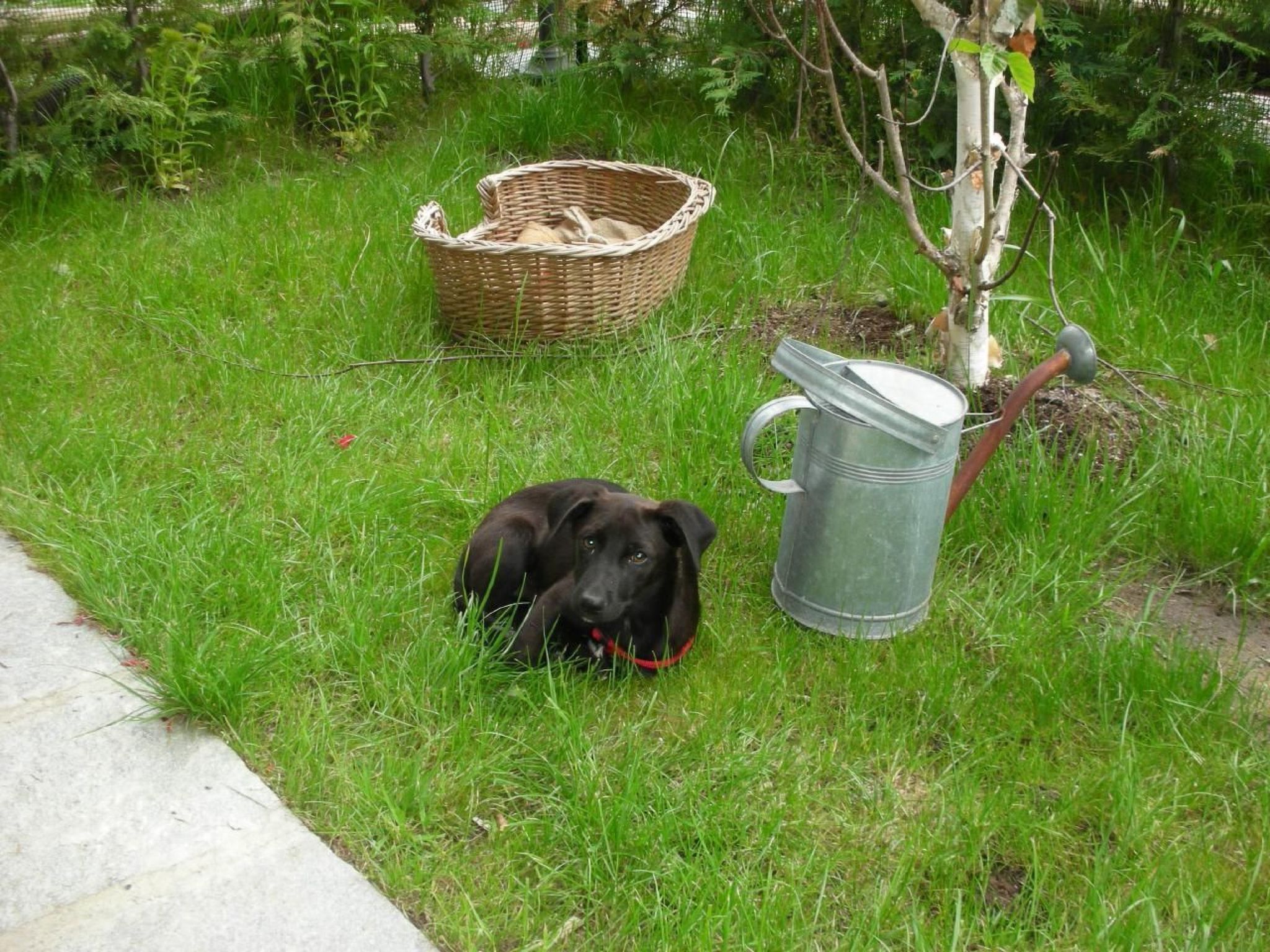 Mit Bergblick-Binnen