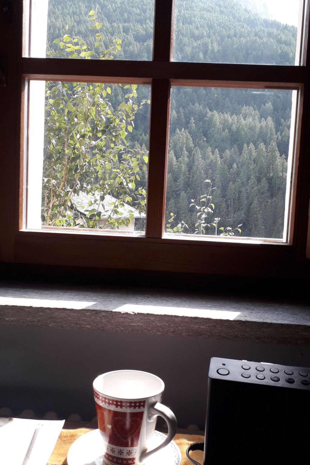 Mit Bergblick-Binnen