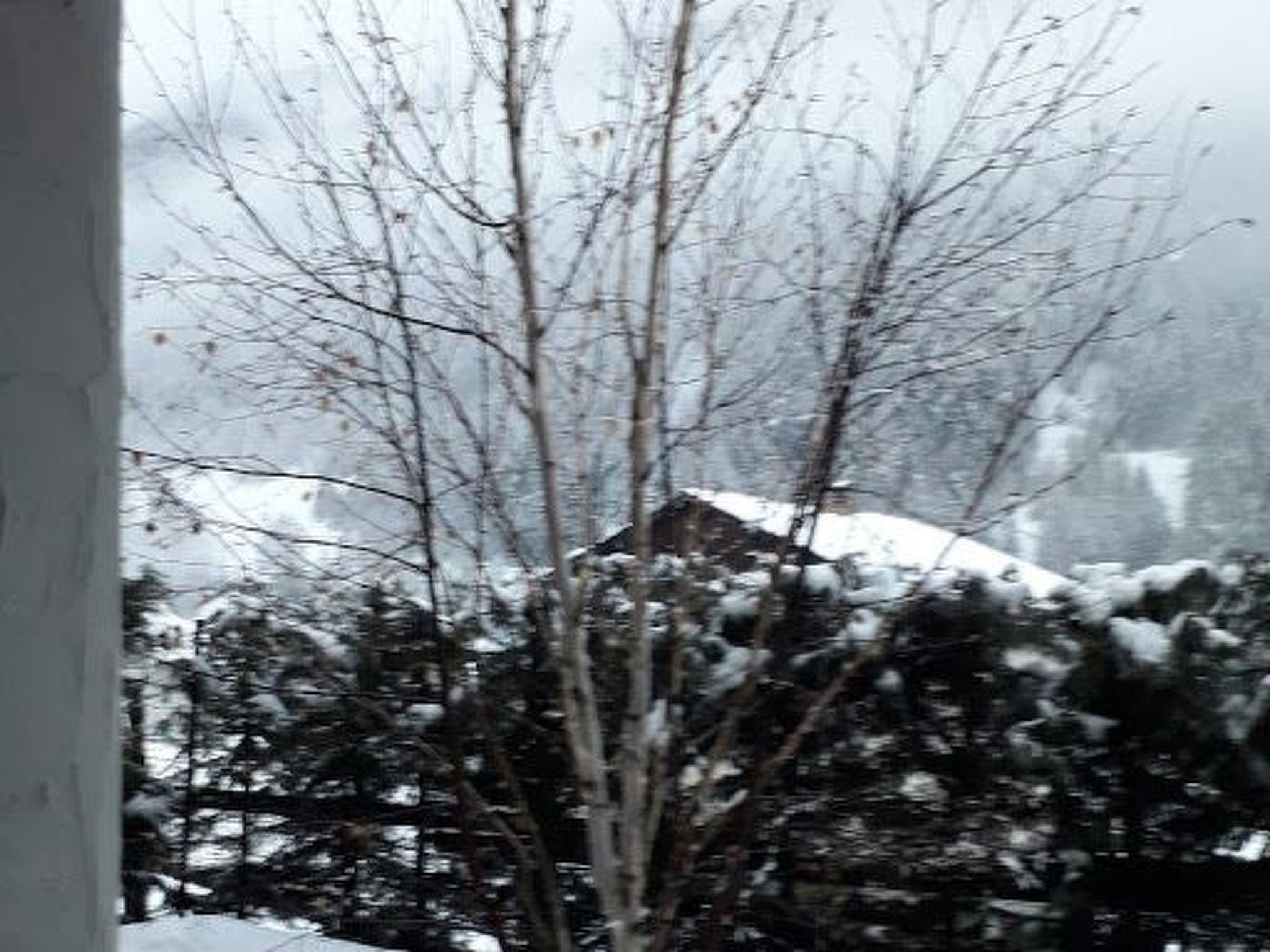 Mit Bergblick-Binnen