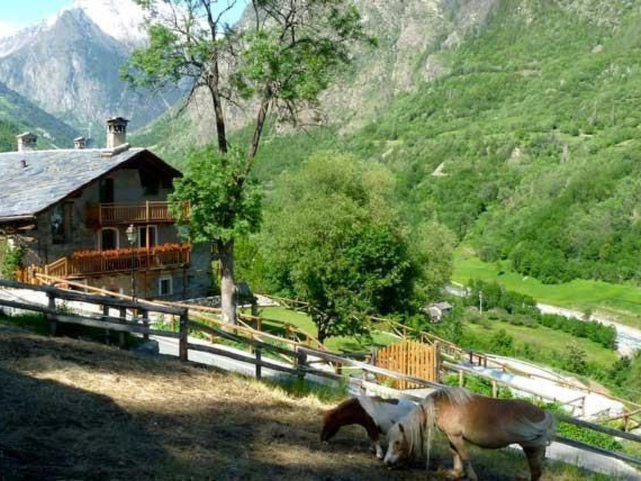 Drei-Zimmer-Wohnung La Mucca in Gignod-Binnen