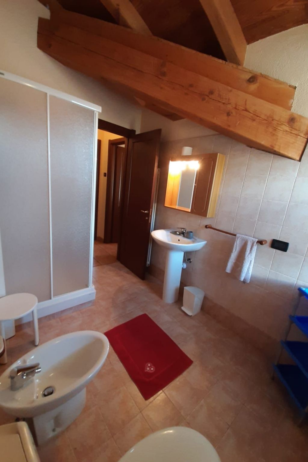 Helle, panoramische Wohnung in den Alpen.-Binnen