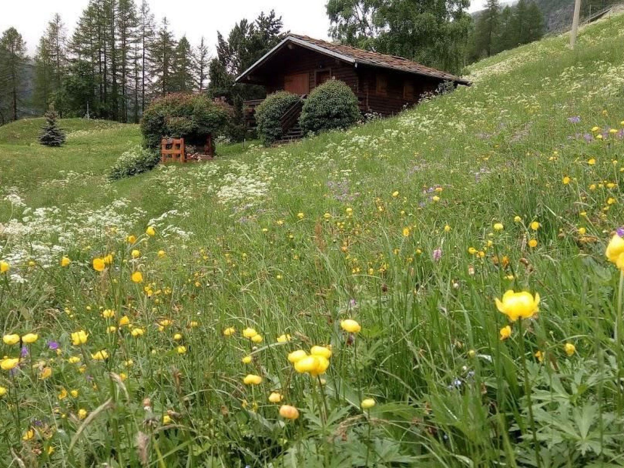 Photo of 'Lo Chalet' der Balkon über dem Matterhorntal