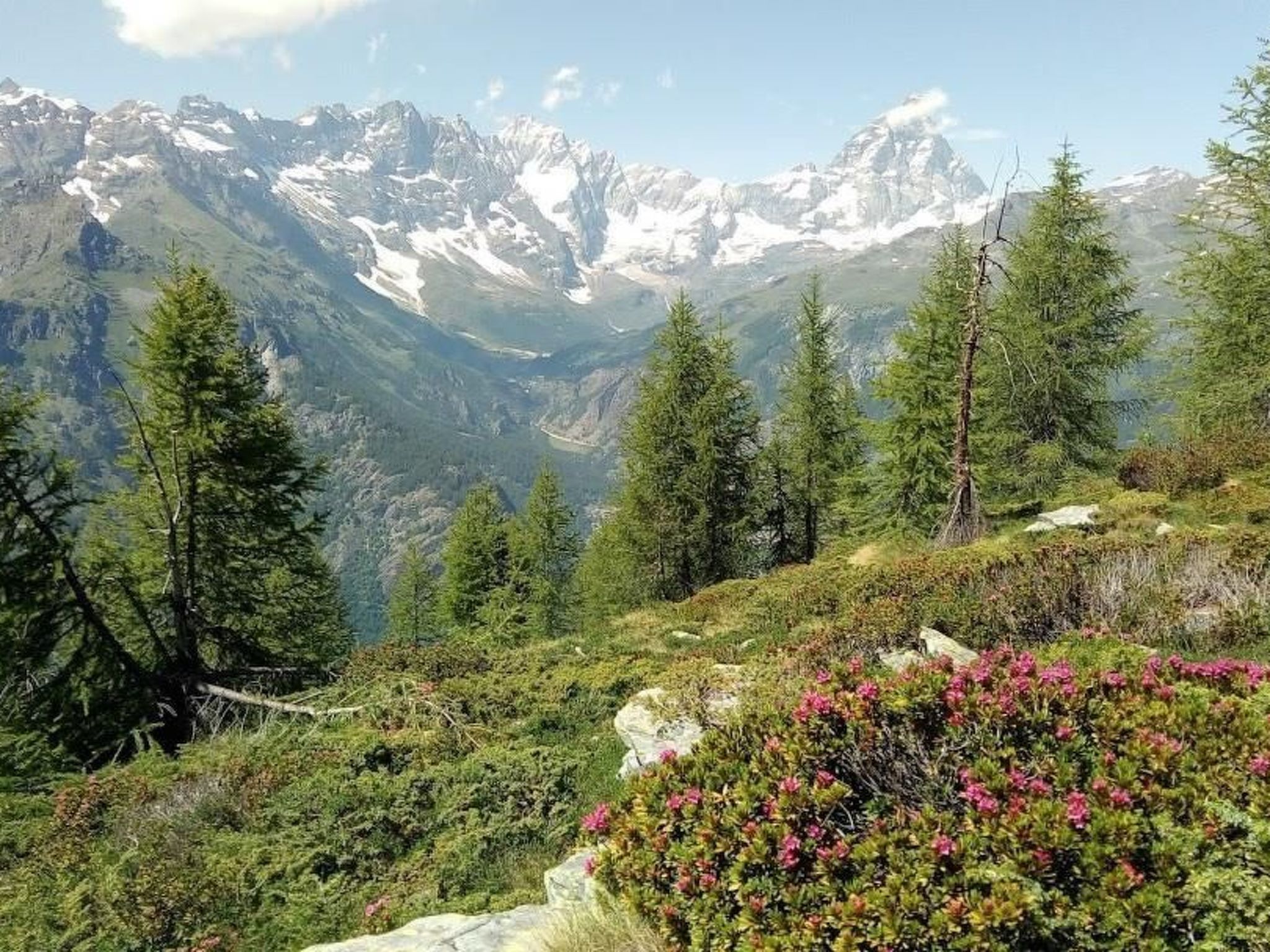 Photo of 'Lo Chalet' der Balkon über dem Matterhorntal