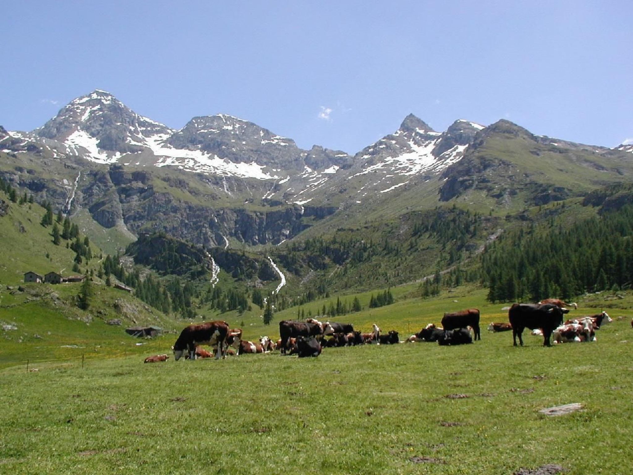 Photo of 'Lo Chalet' der Balkon über dem Matterhorntal