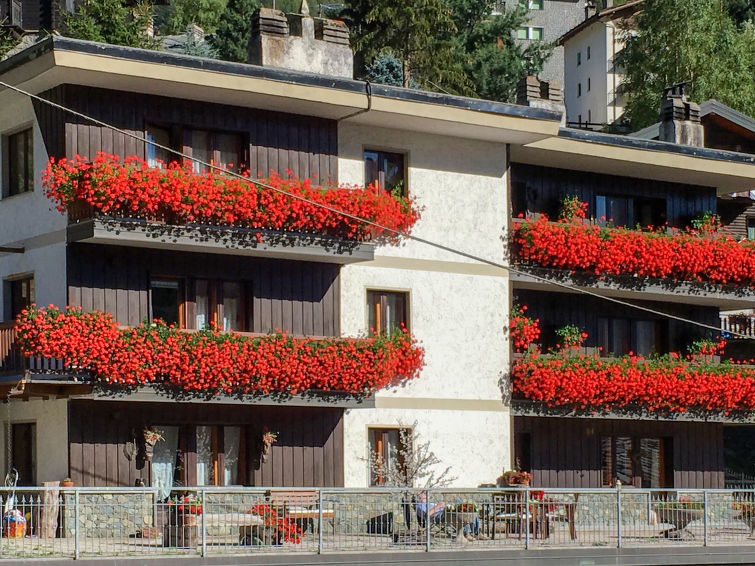 La Tata Apartment in Valtournenche