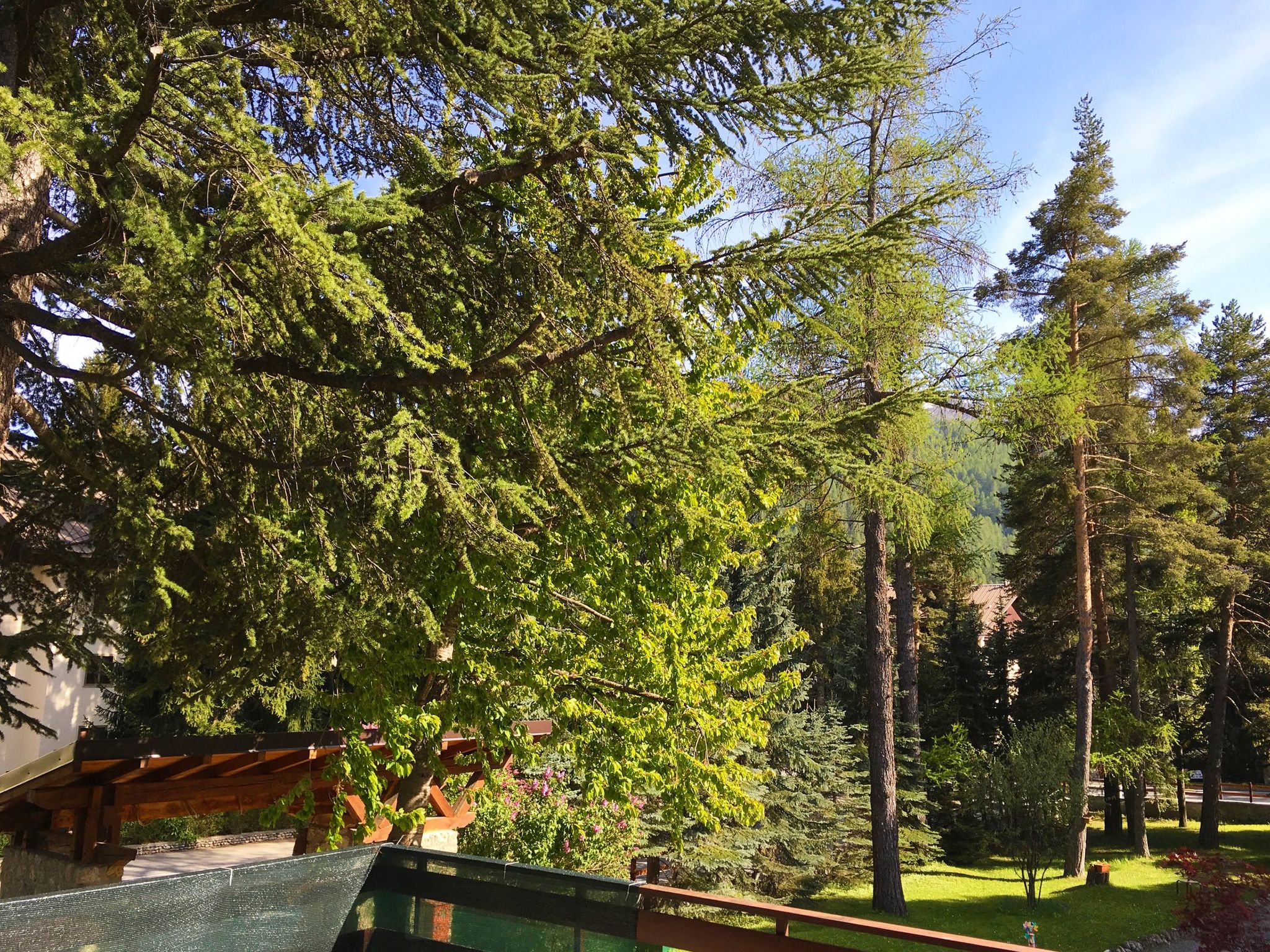 'San Francesco-Image-tags.info