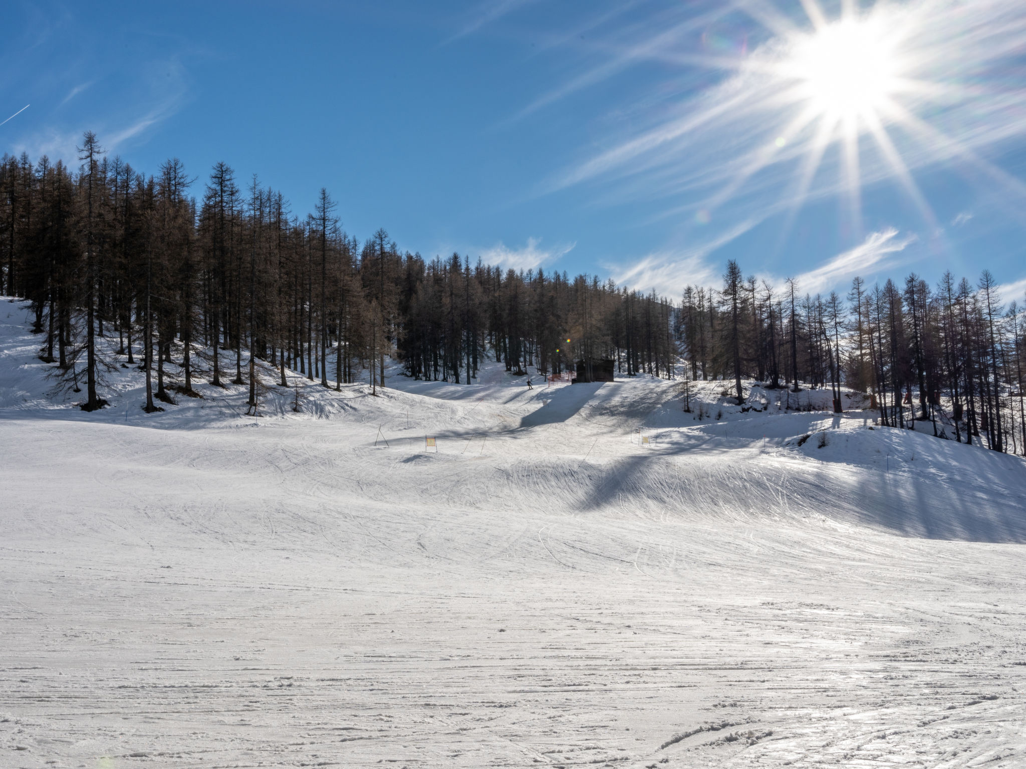 Photo of Richardette