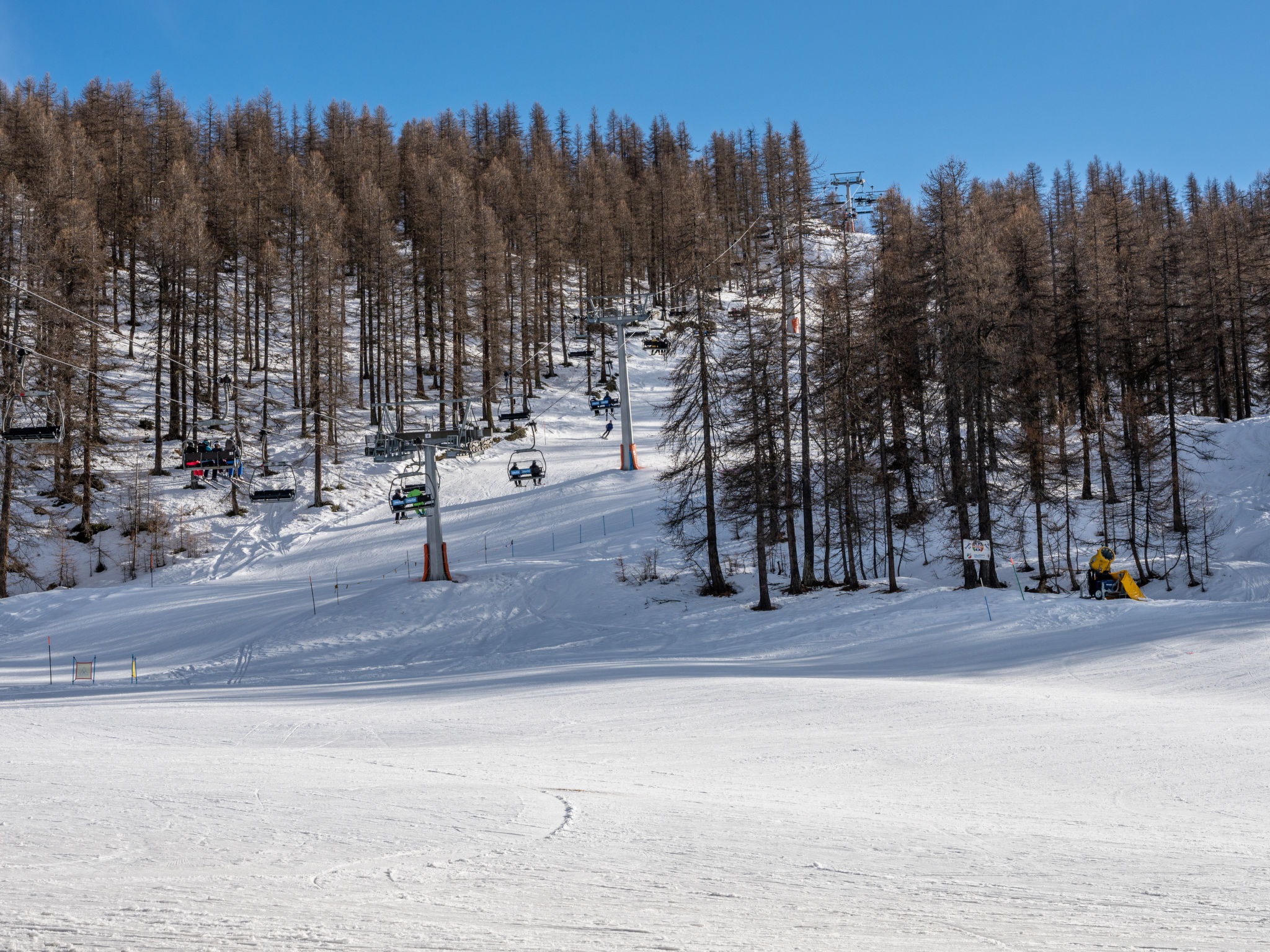 Photo of Richardette