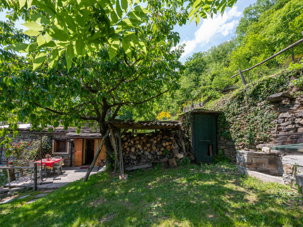 Bild 24
