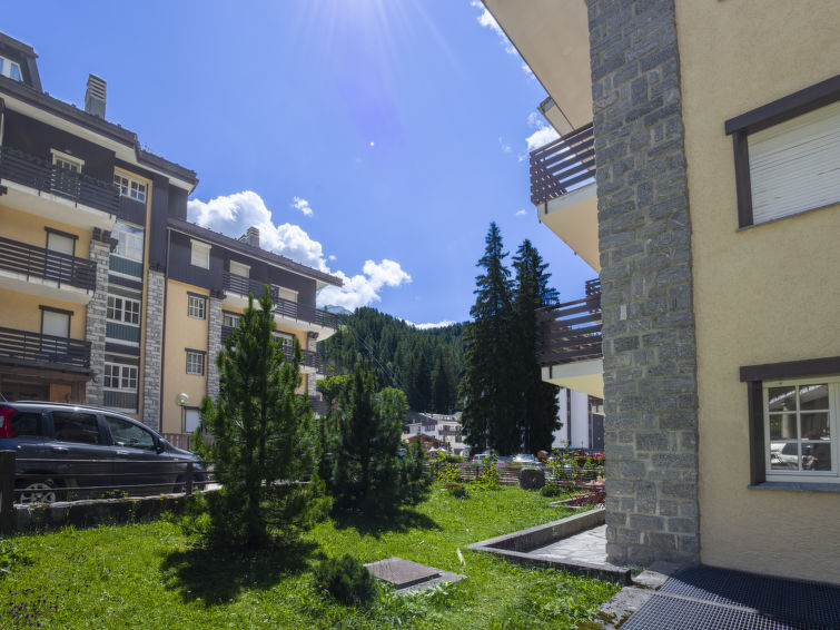 Photo of Tigli