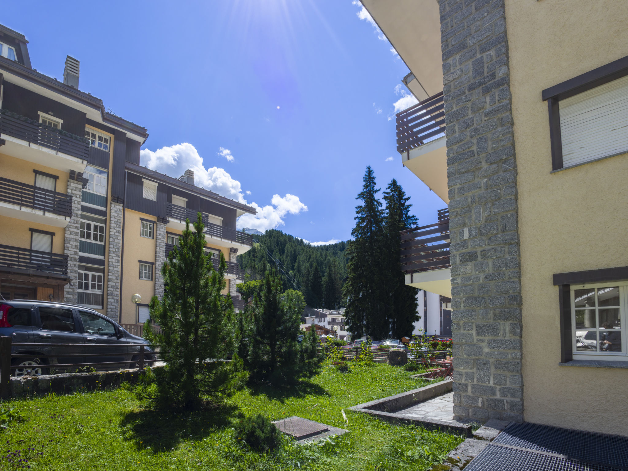 Photo of Tigli
