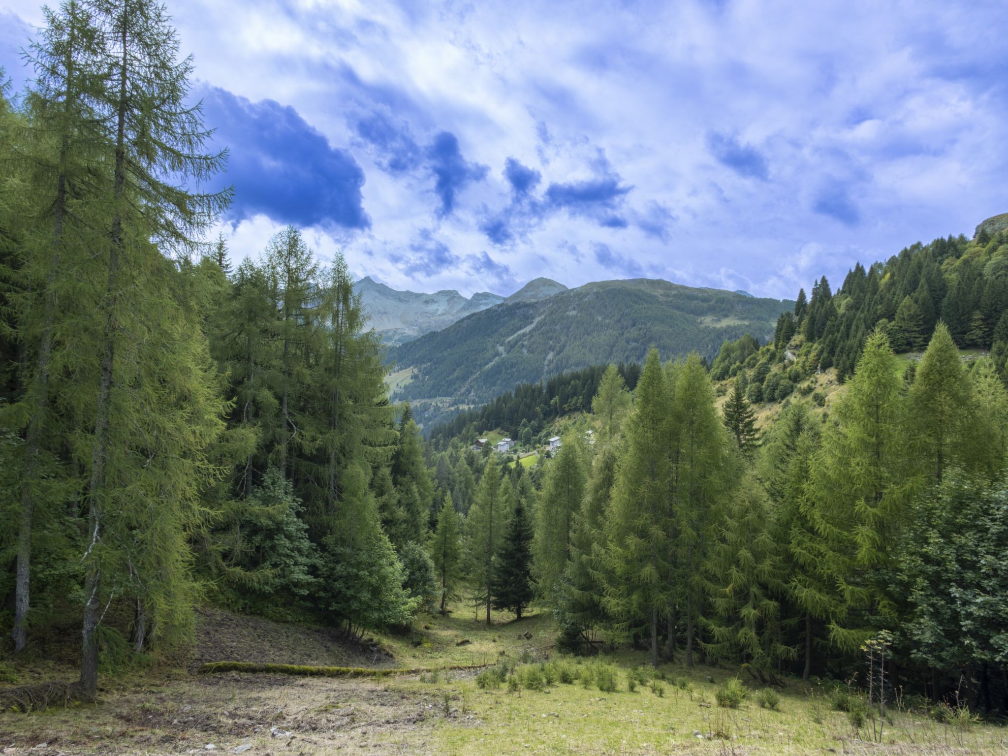 Photo of Residence gli Scoiattoli