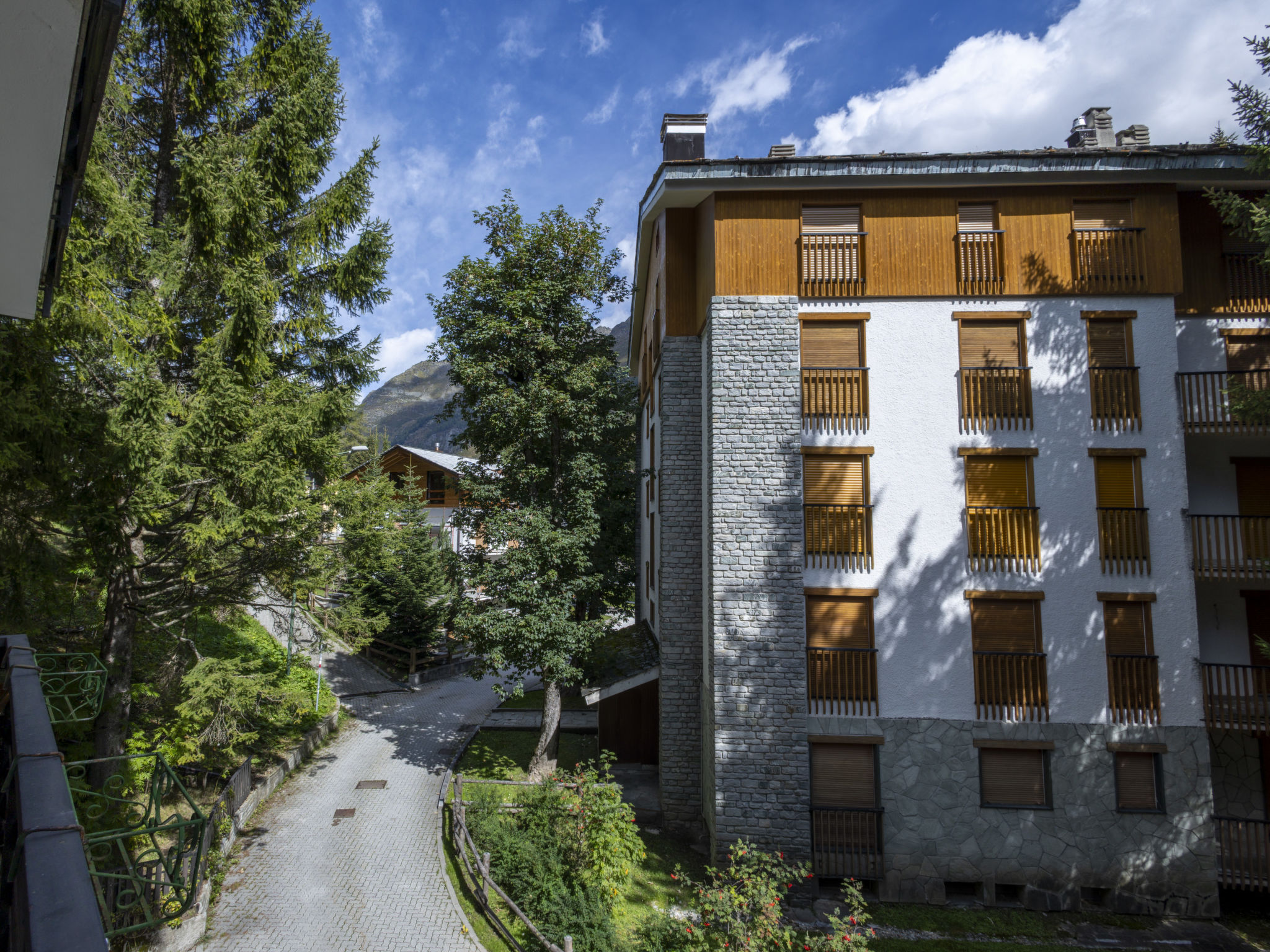 Photo of Larici