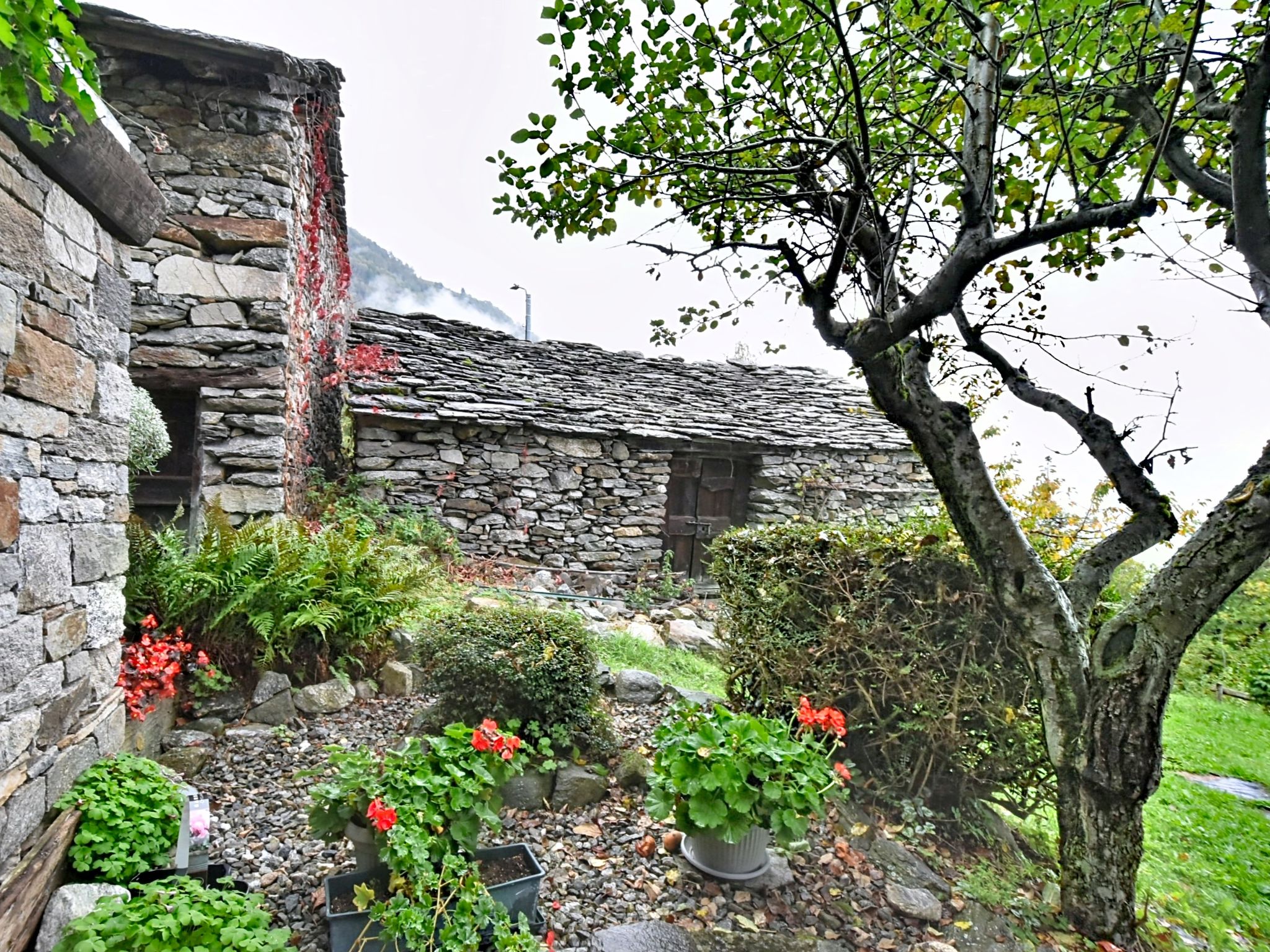 Chalet degli Gnomi - Outside