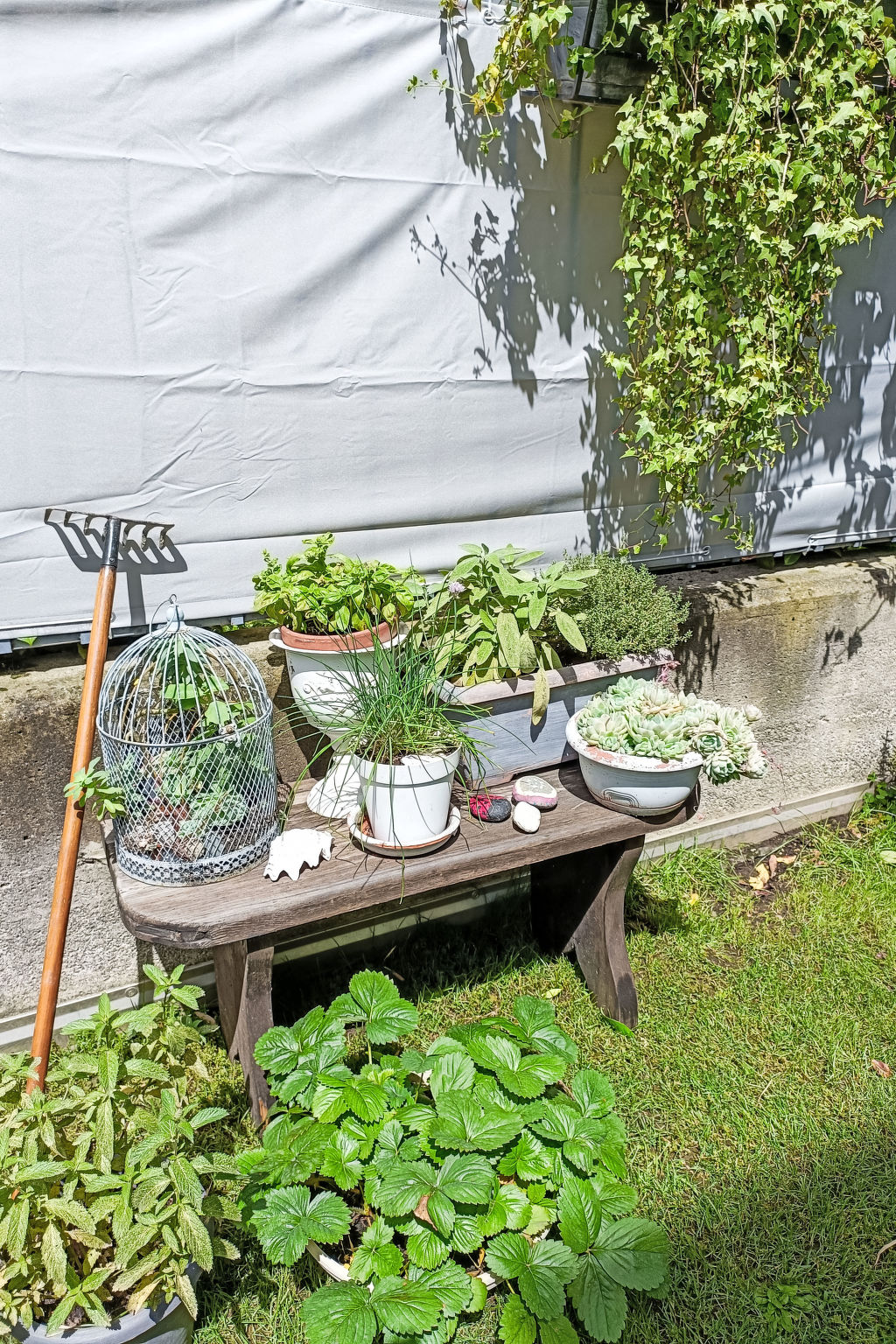 Olmo Garden Apartment - Buiten