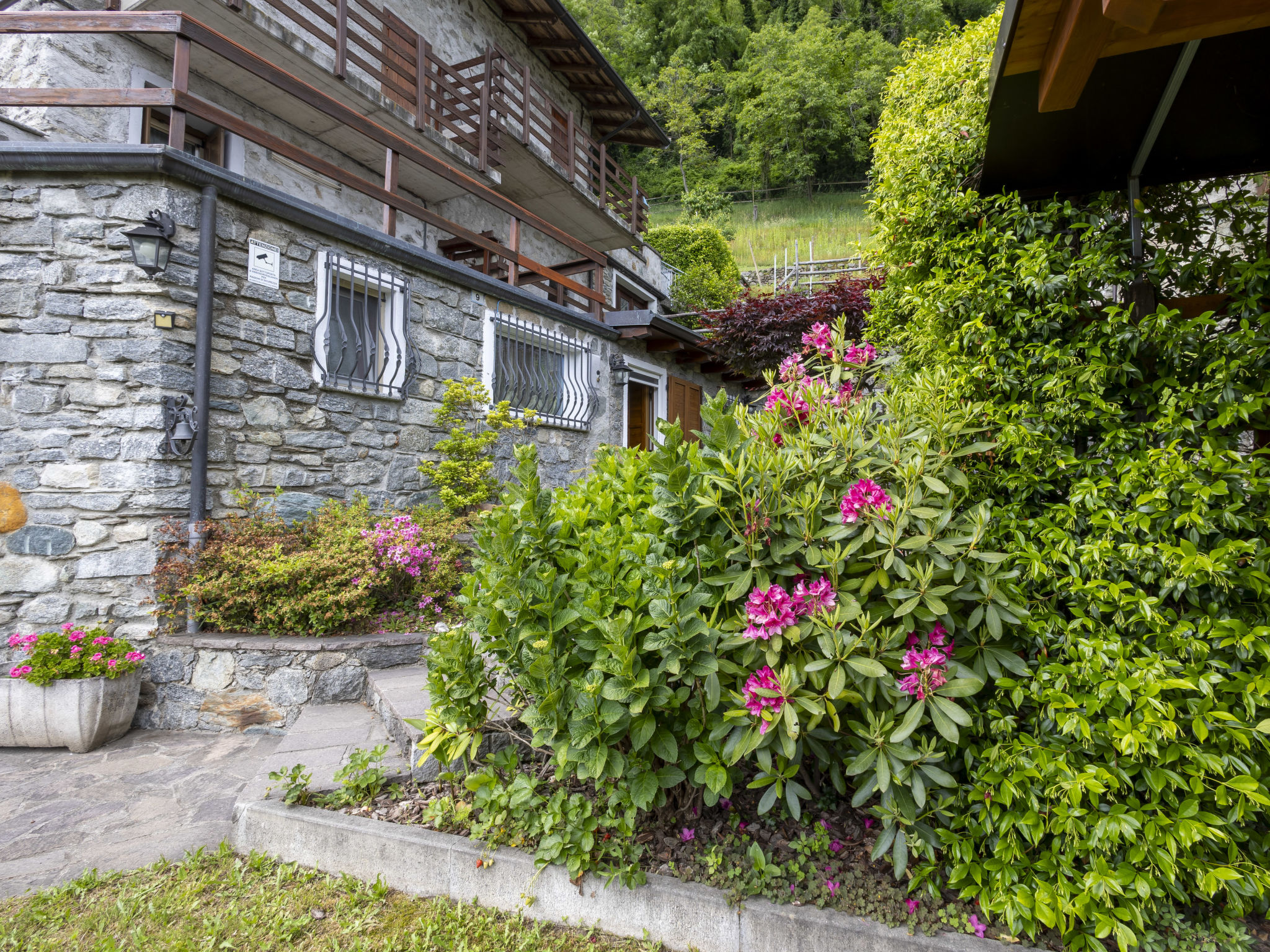 Moncucco Mountain Home-Dehors