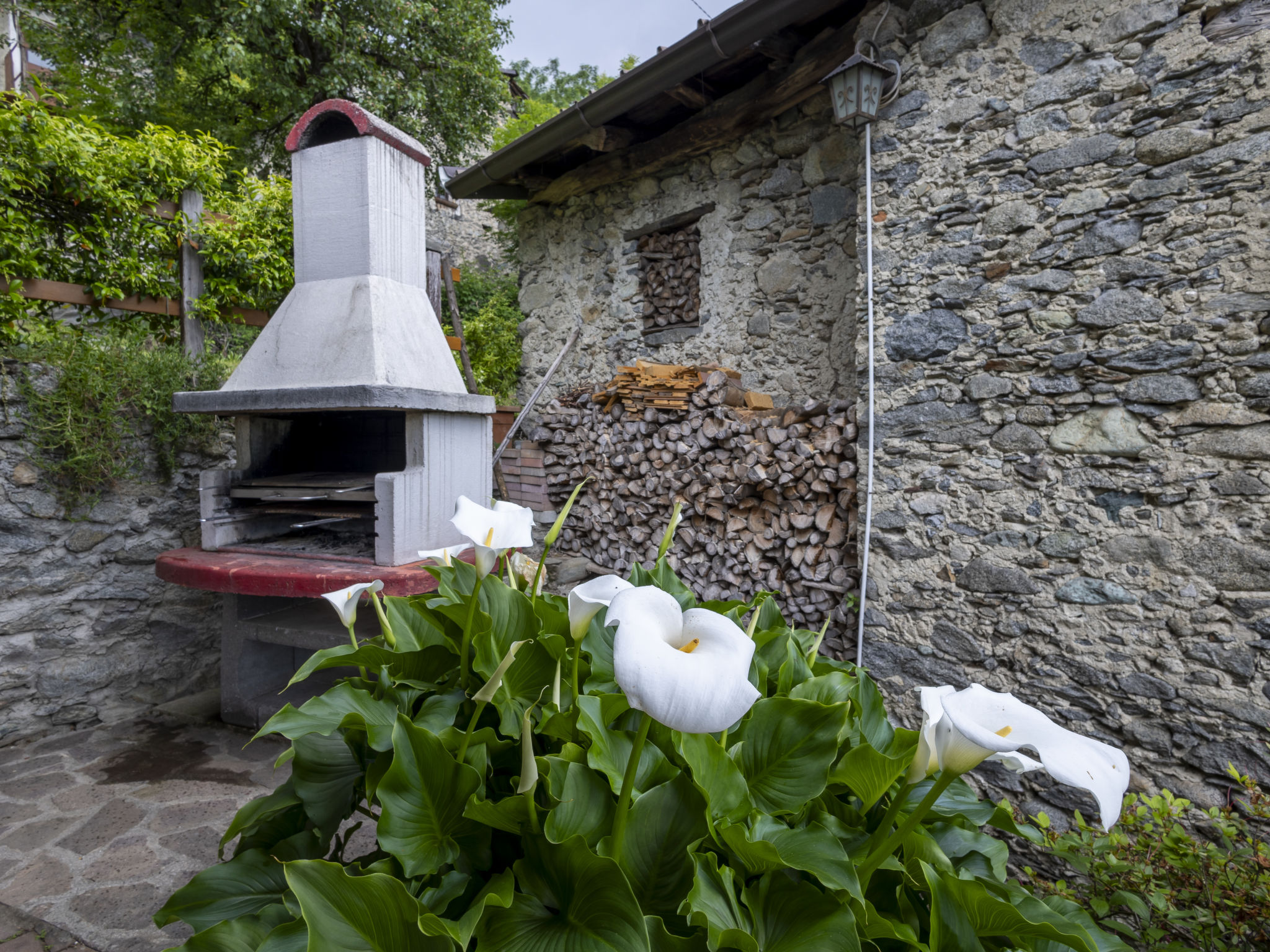 Moncucco Mountain Home-Dehors