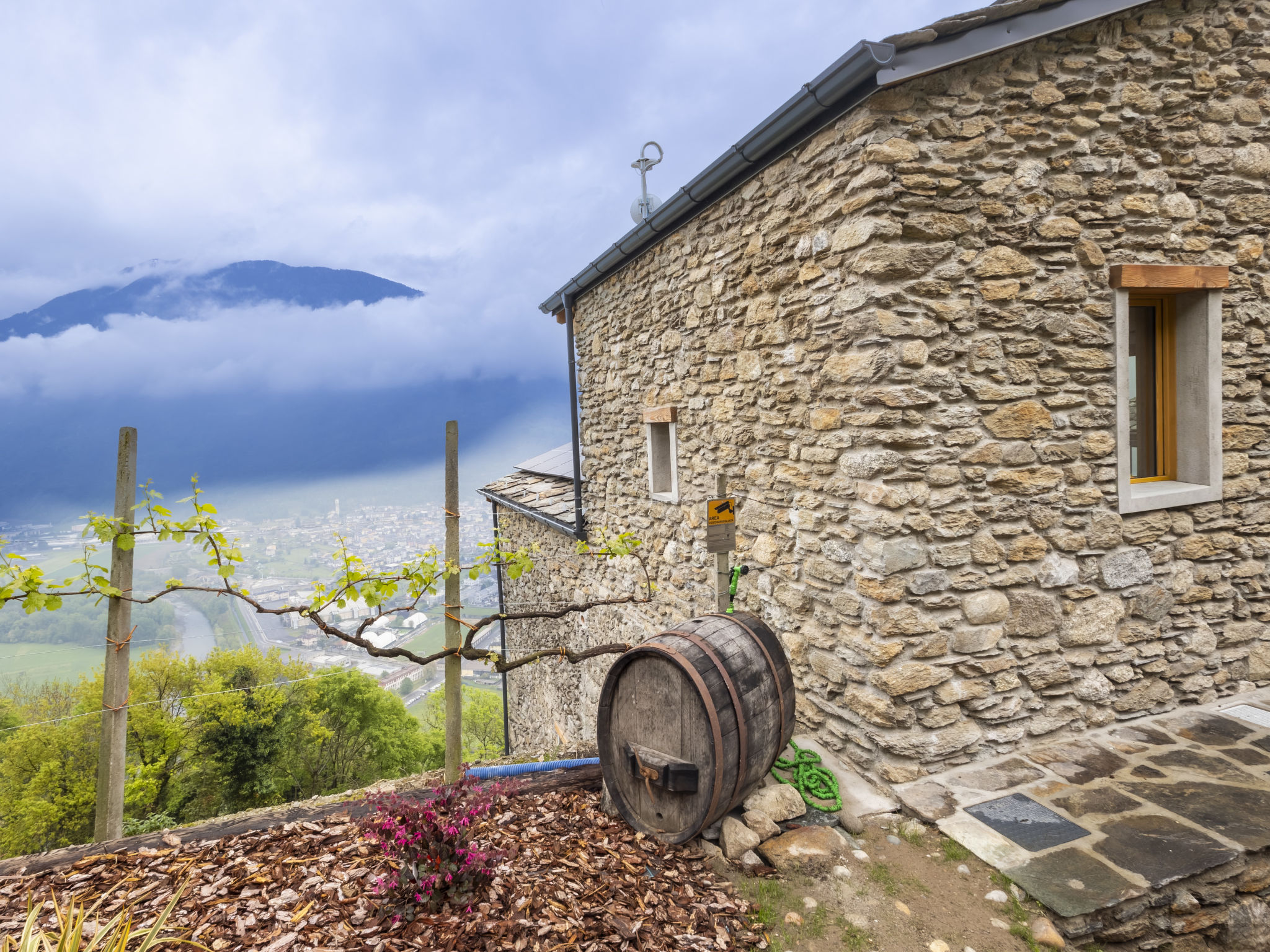 Al Vignale - La Vista - Buiten