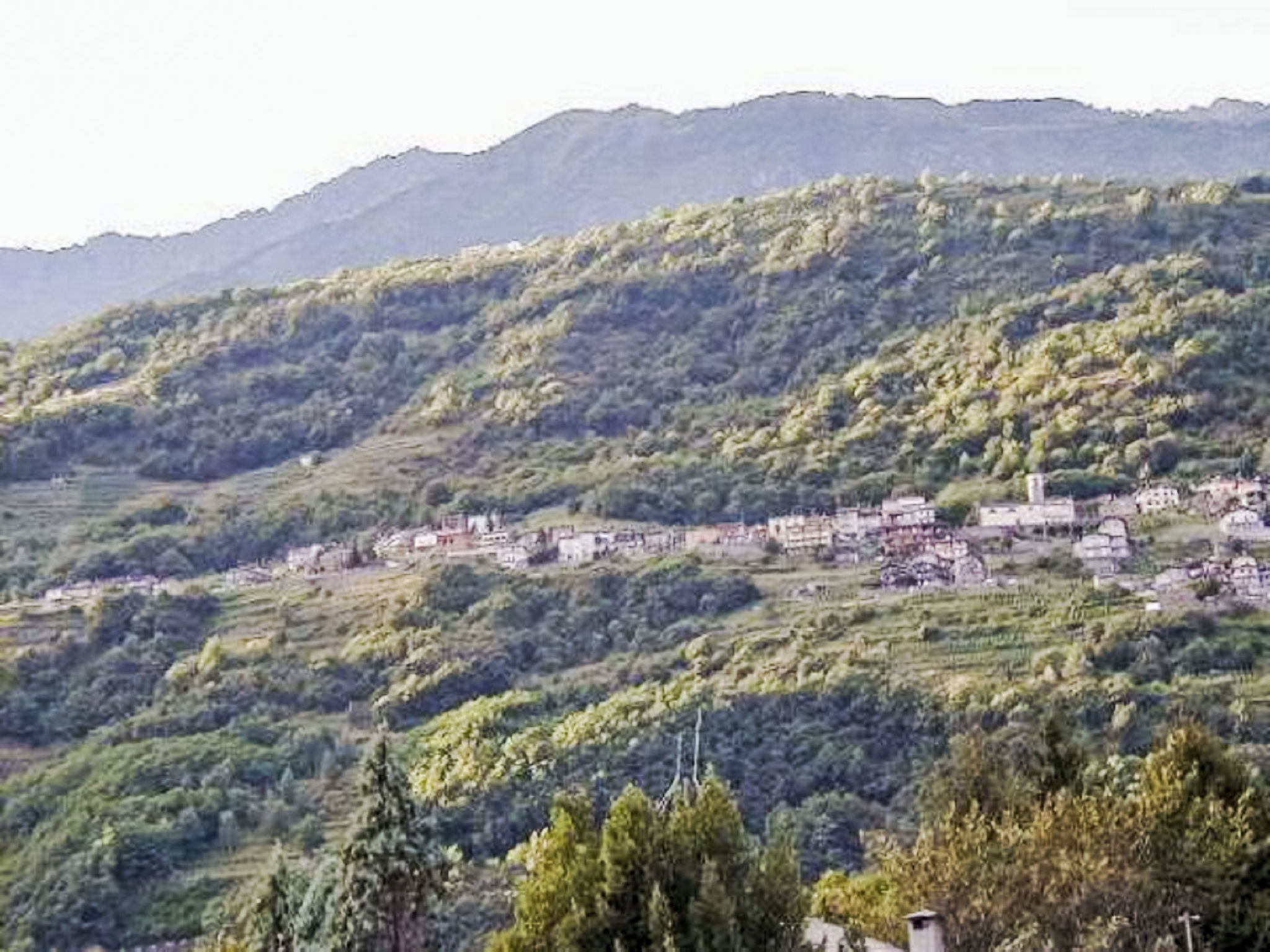Al Pergul - Buiten