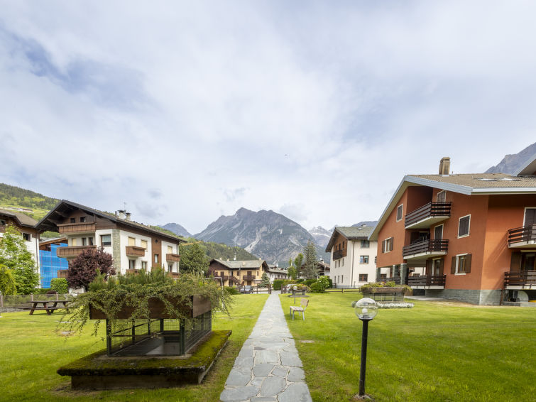 Photo of Solena