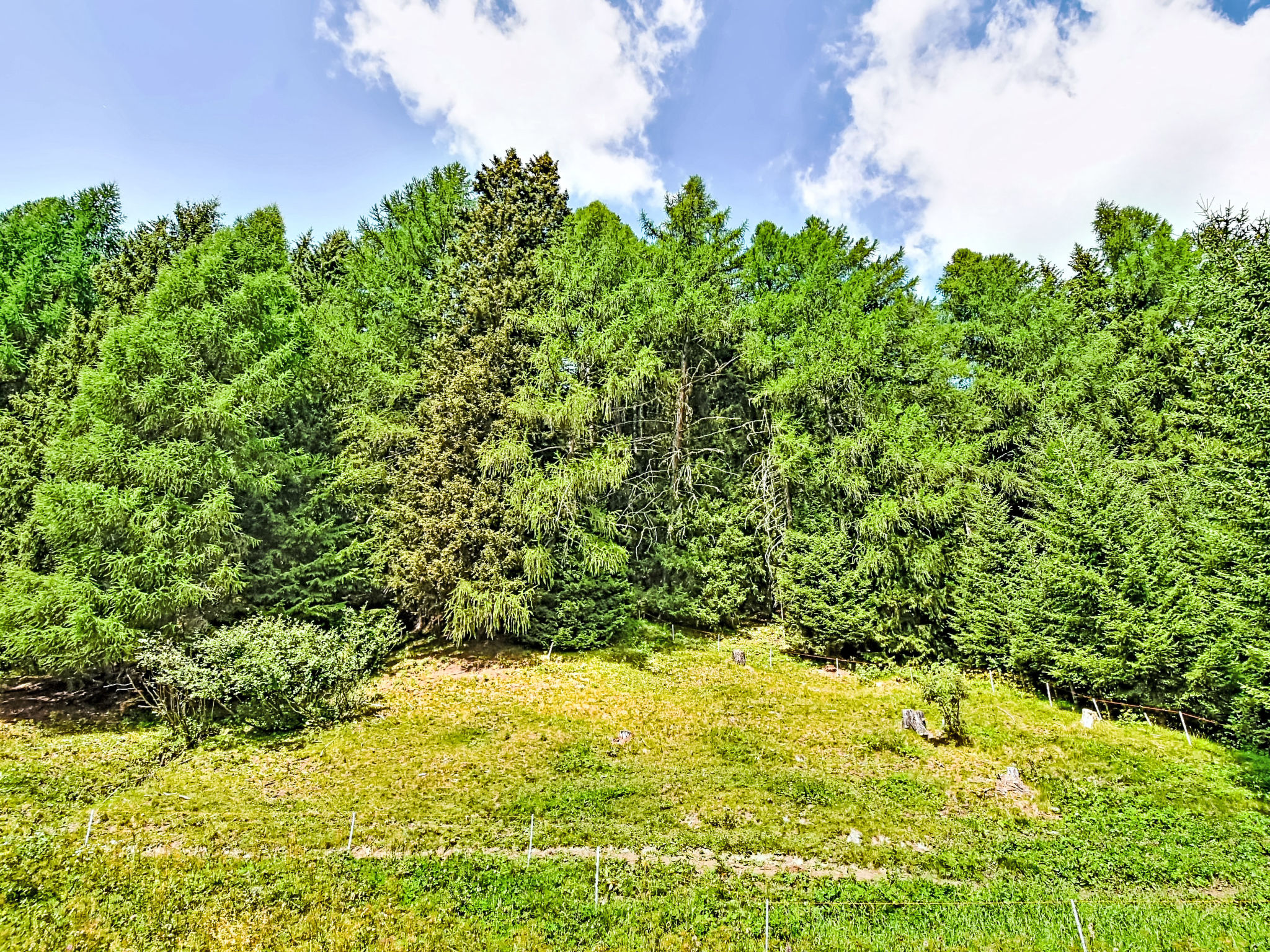 Photo of Nordic Nest