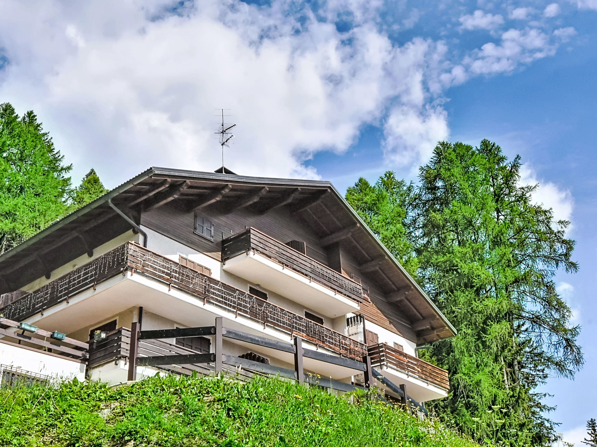 Photo of Nordic Nest