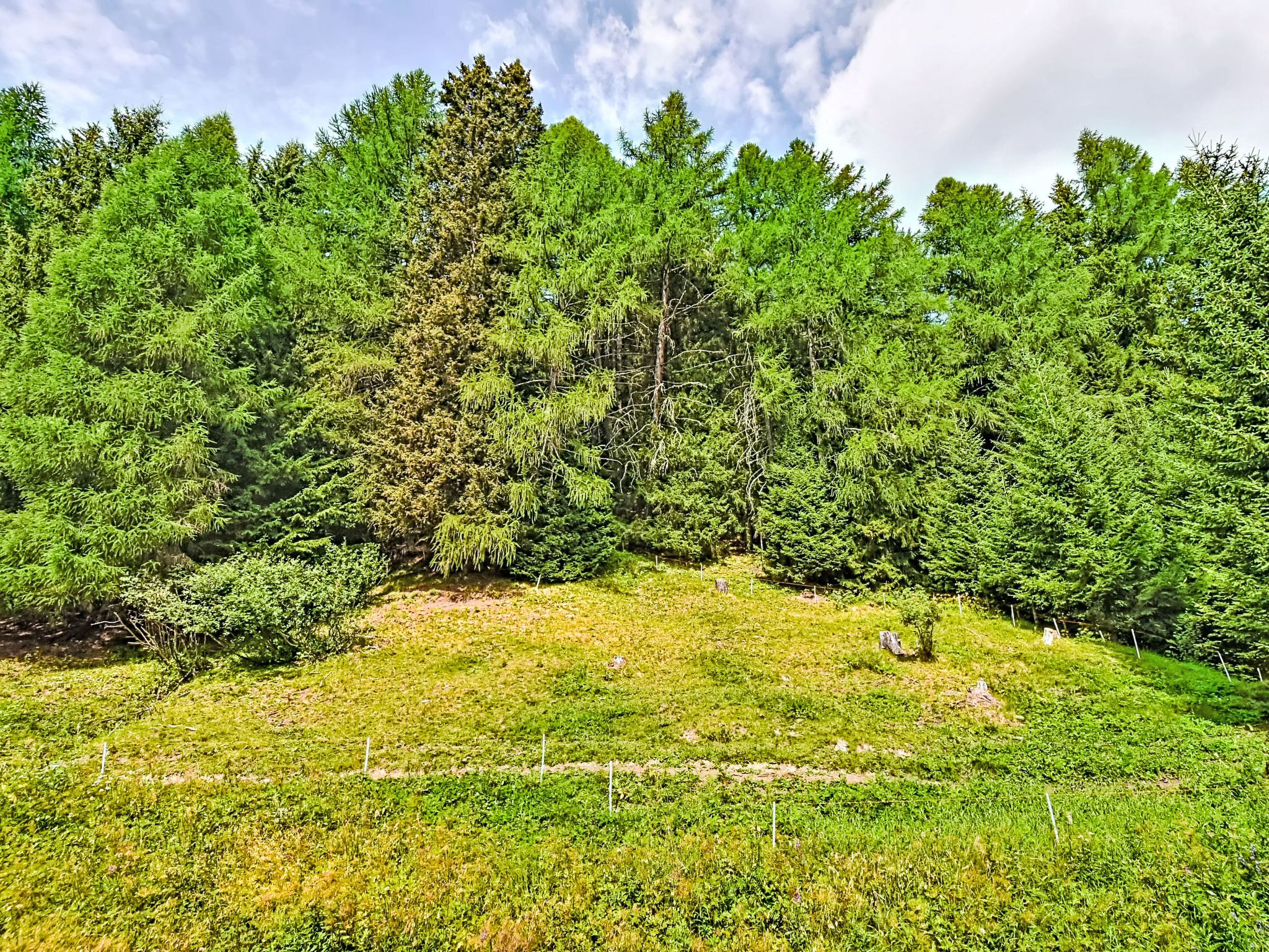 Photo of Nordic Nest