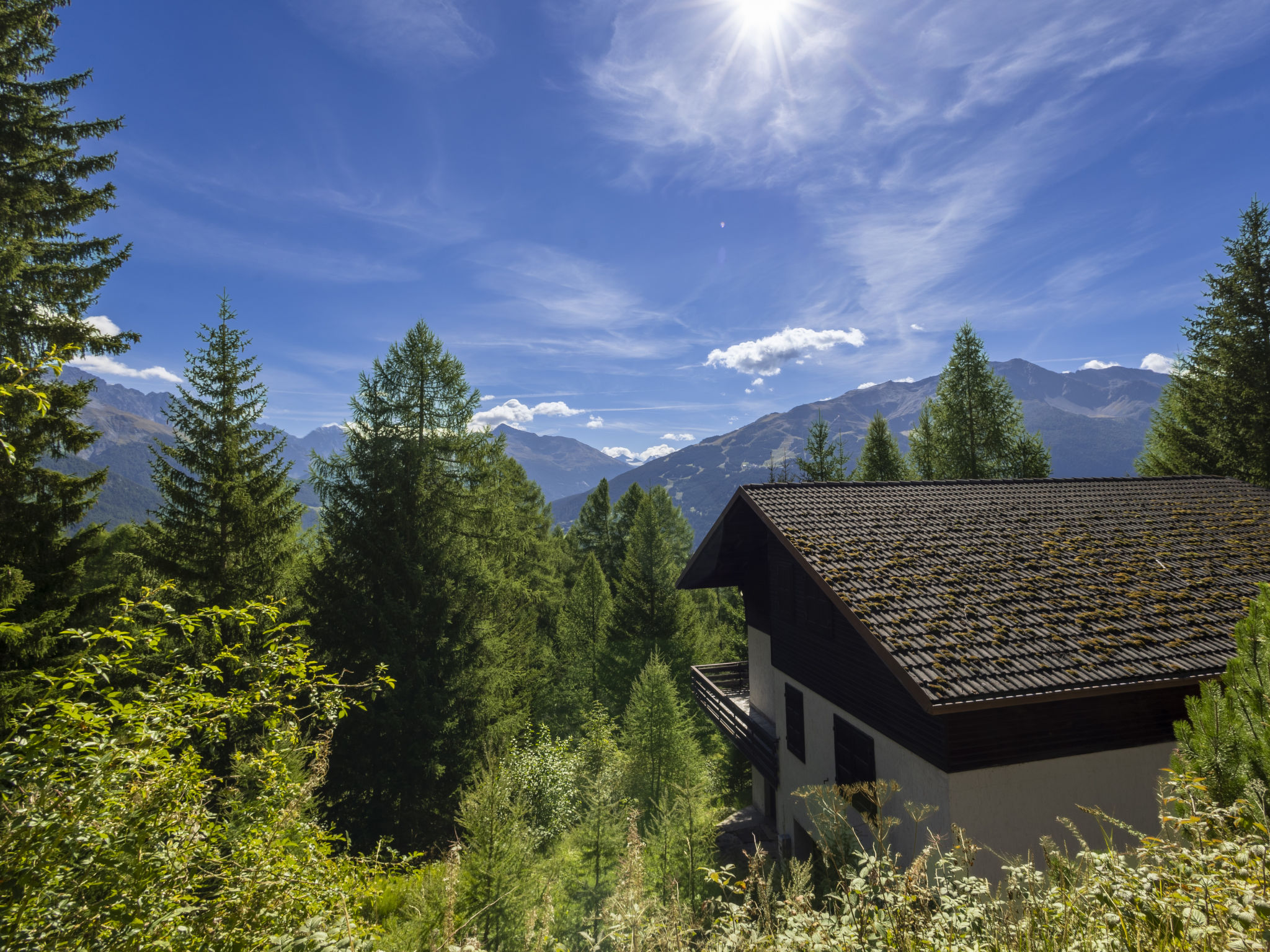 Photo of Nordic Nest
