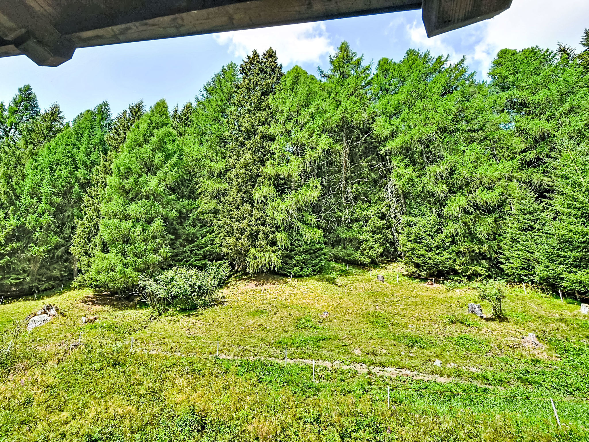 Photo of Nordic Nest