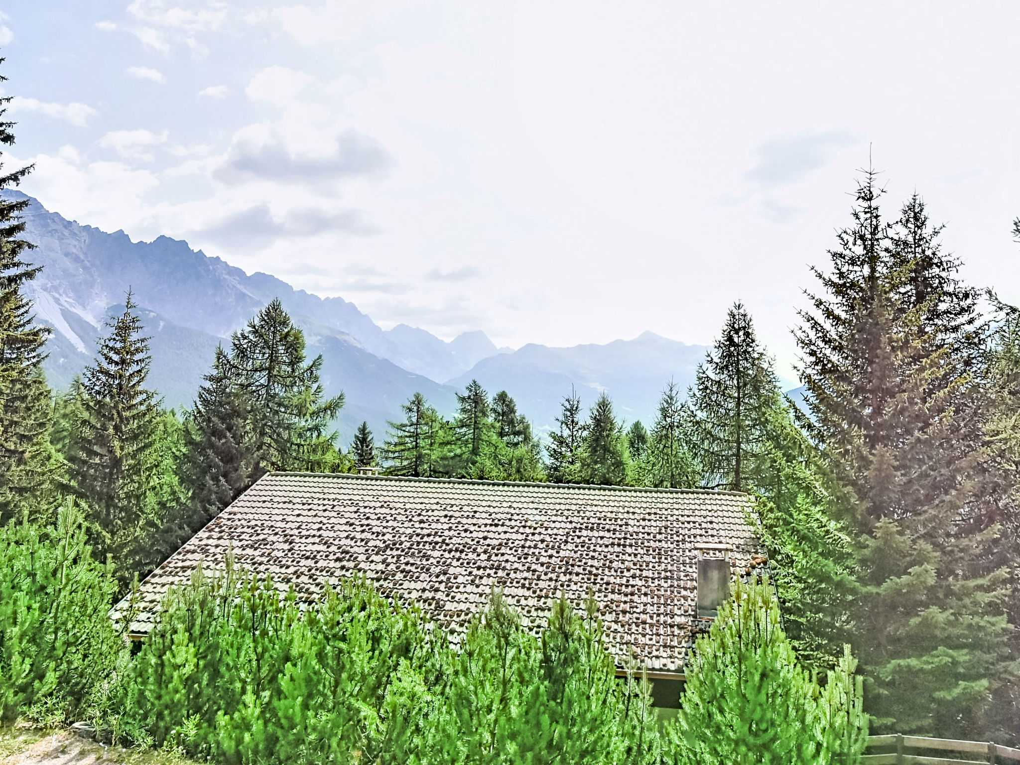 Photo of Nordic Nest