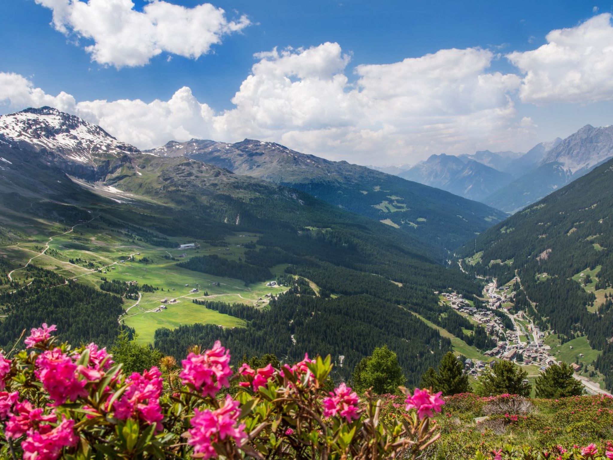 QC House- Chalet tra le alpi-Image-tags.info