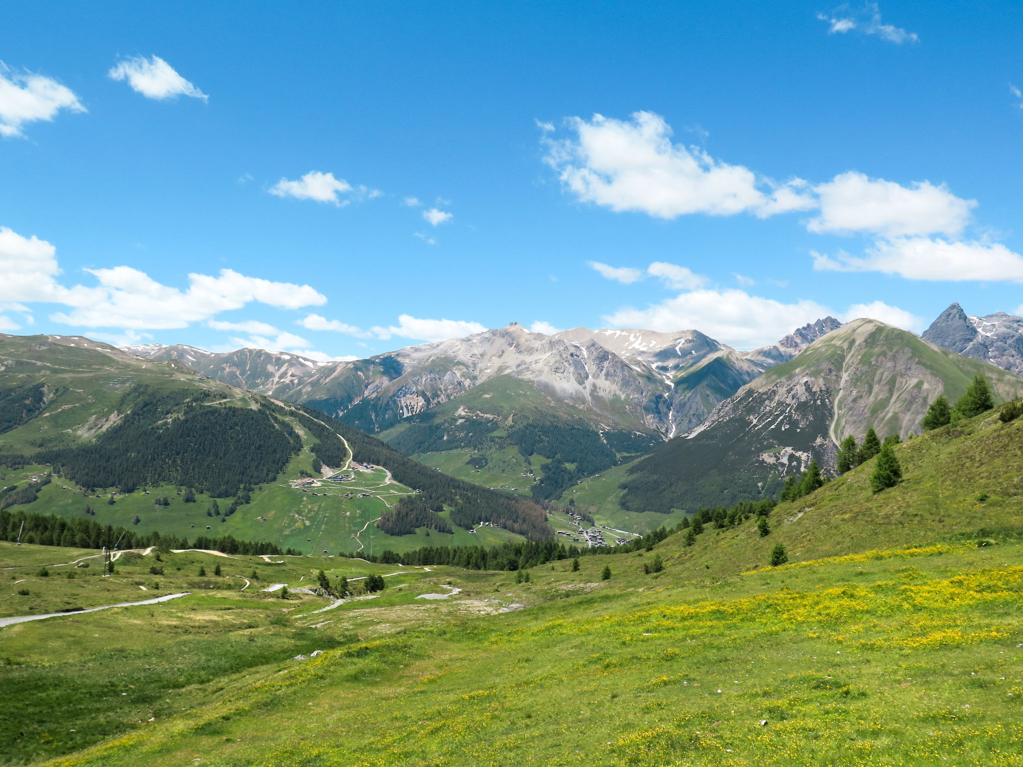 Photo of Trepalle