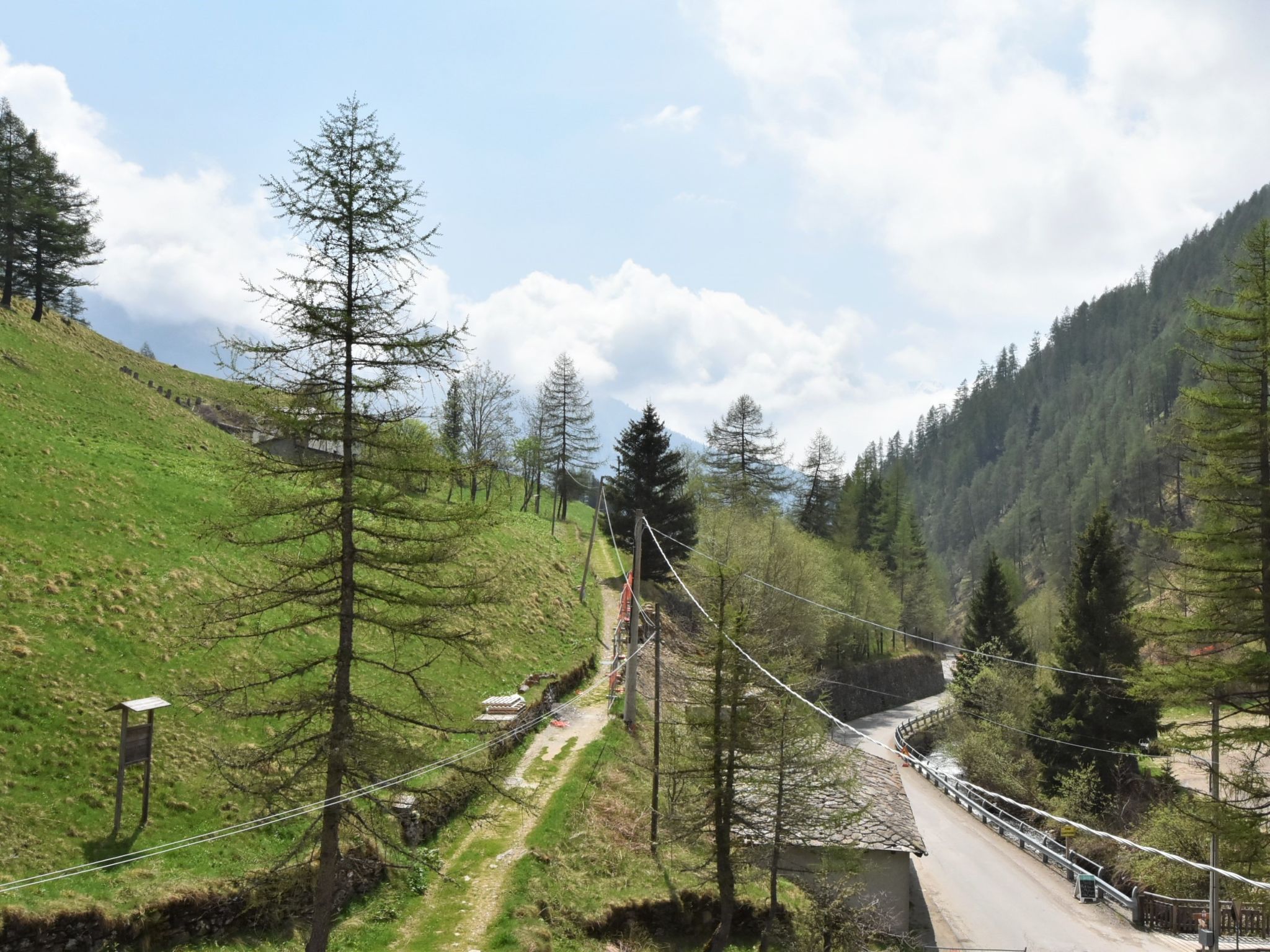 Photo of Nido dello Stelvio