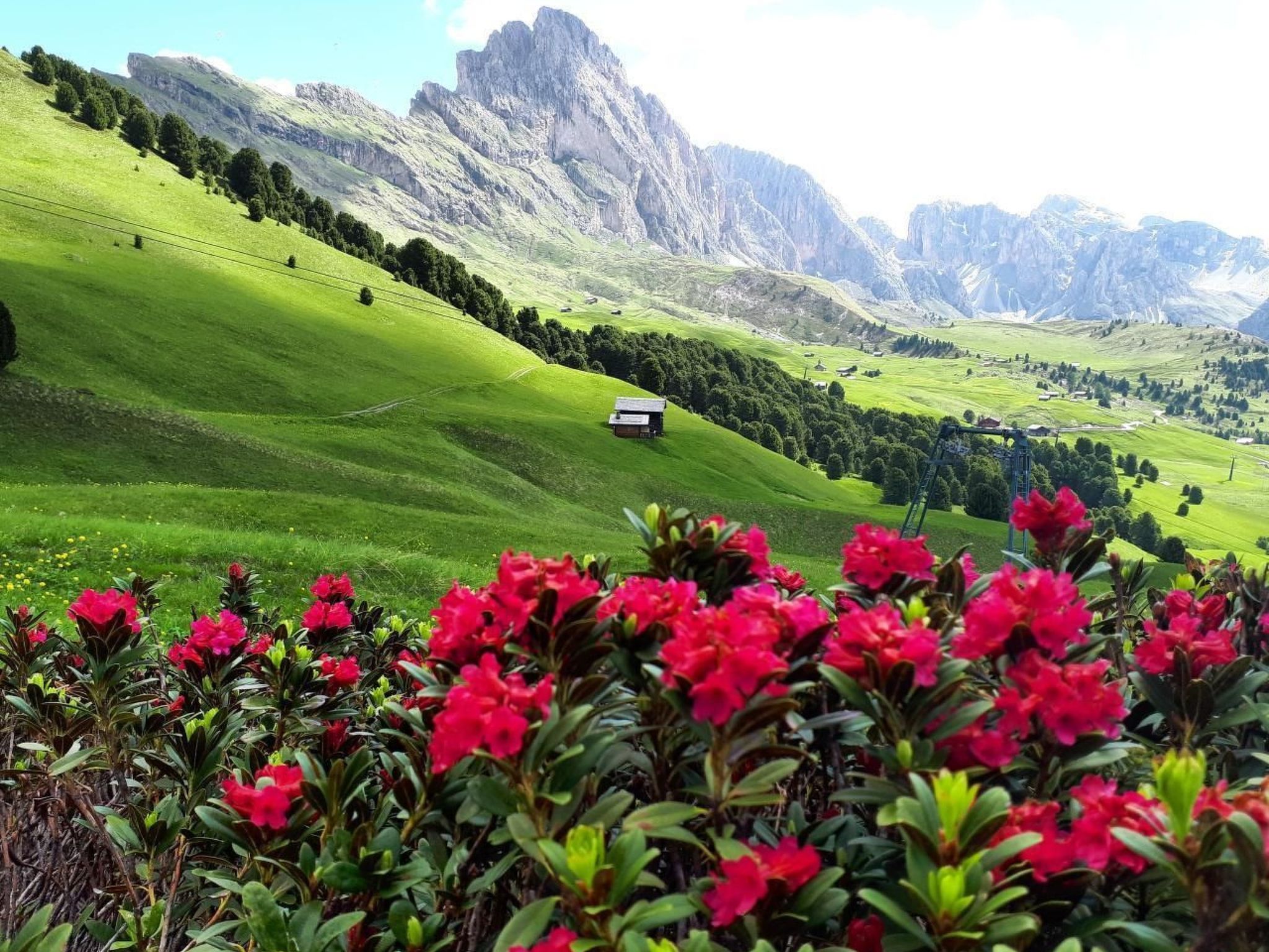 Cesa Vedla DOLOMITES-Binnen