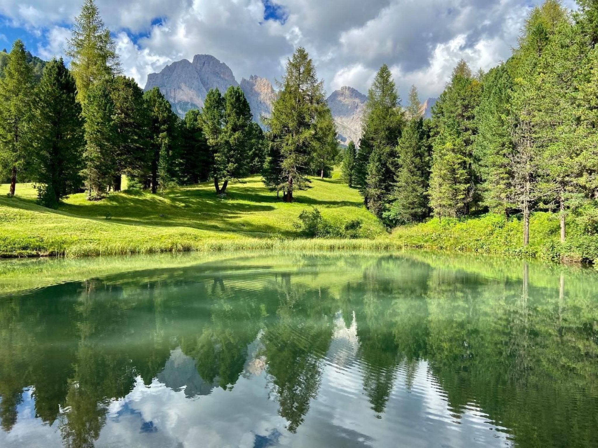Cesa Vedla DOLOMITES-Binnen