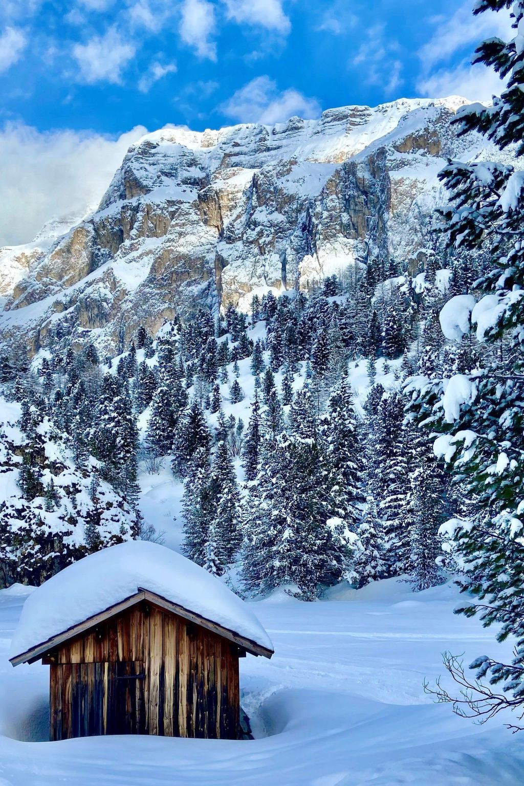 Cesa Vedla DOLOMITES-Binnen