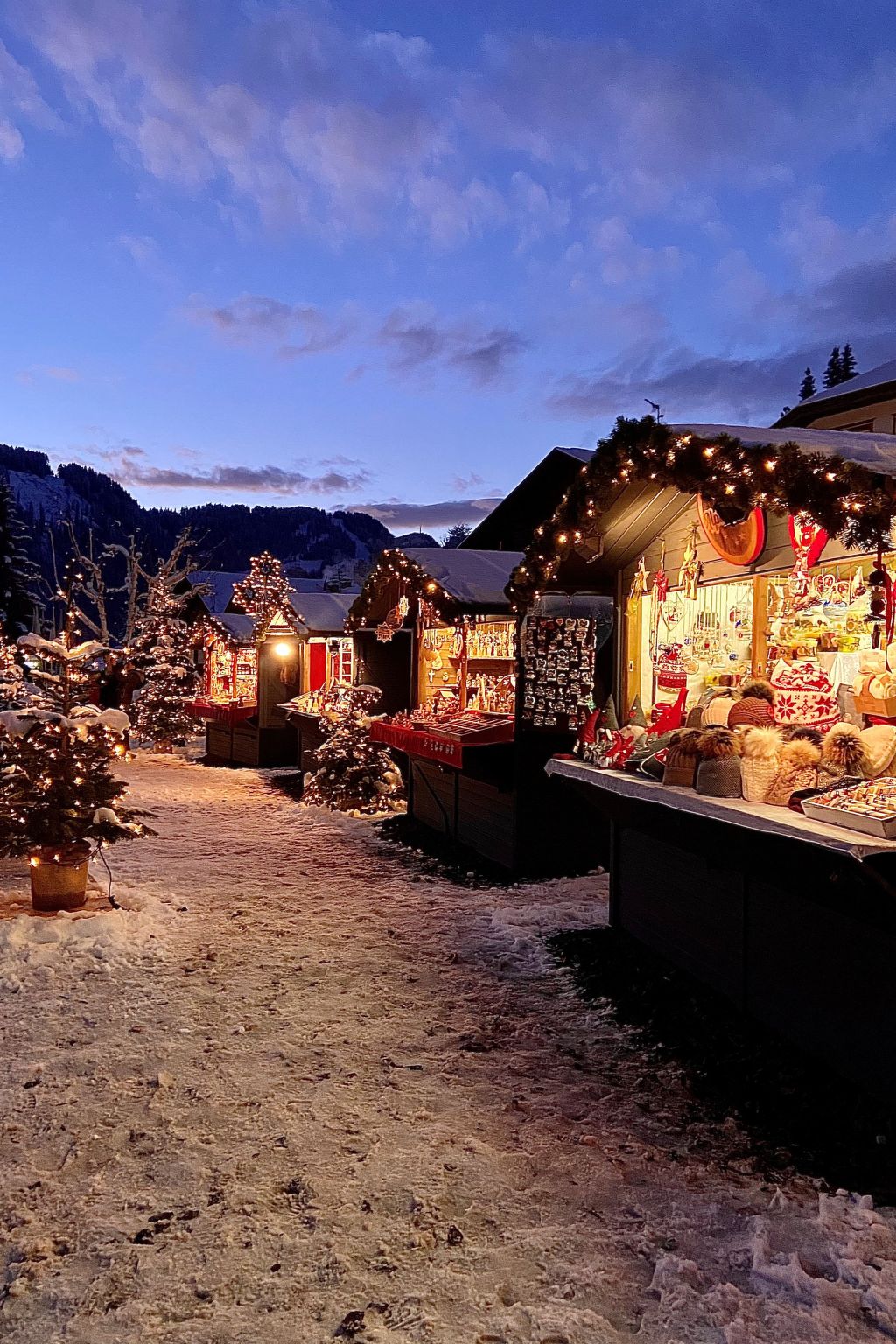 Cesa Vedla DOLOMITES-Binnen
