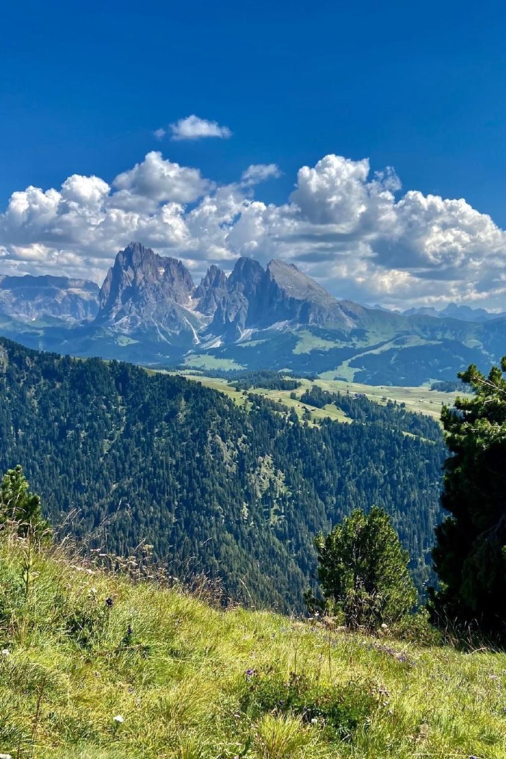 Cesa Vedla DOLOMITES-Binnen