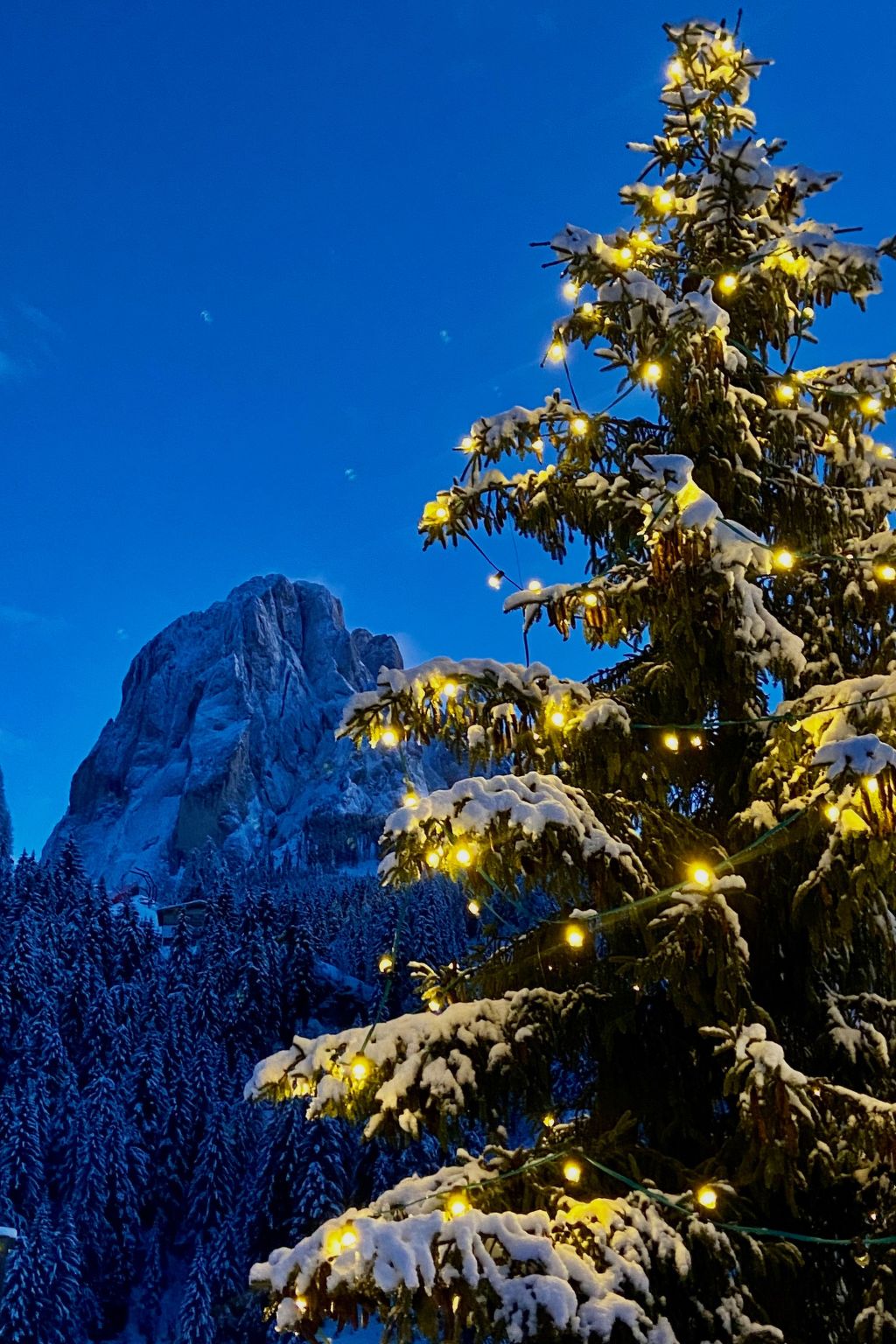 Cesa Vedla DOLOMITES-Binnen